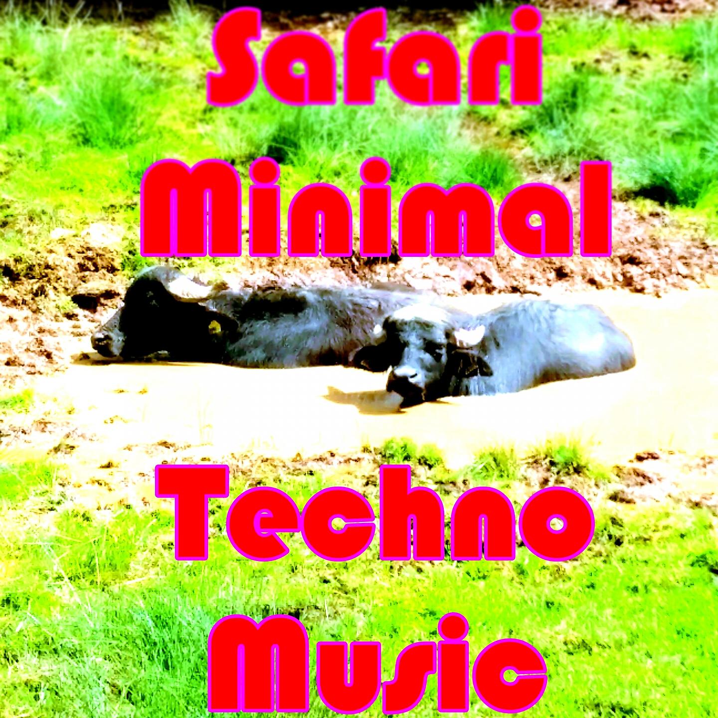 Релиз Safari Minimal Techno Music