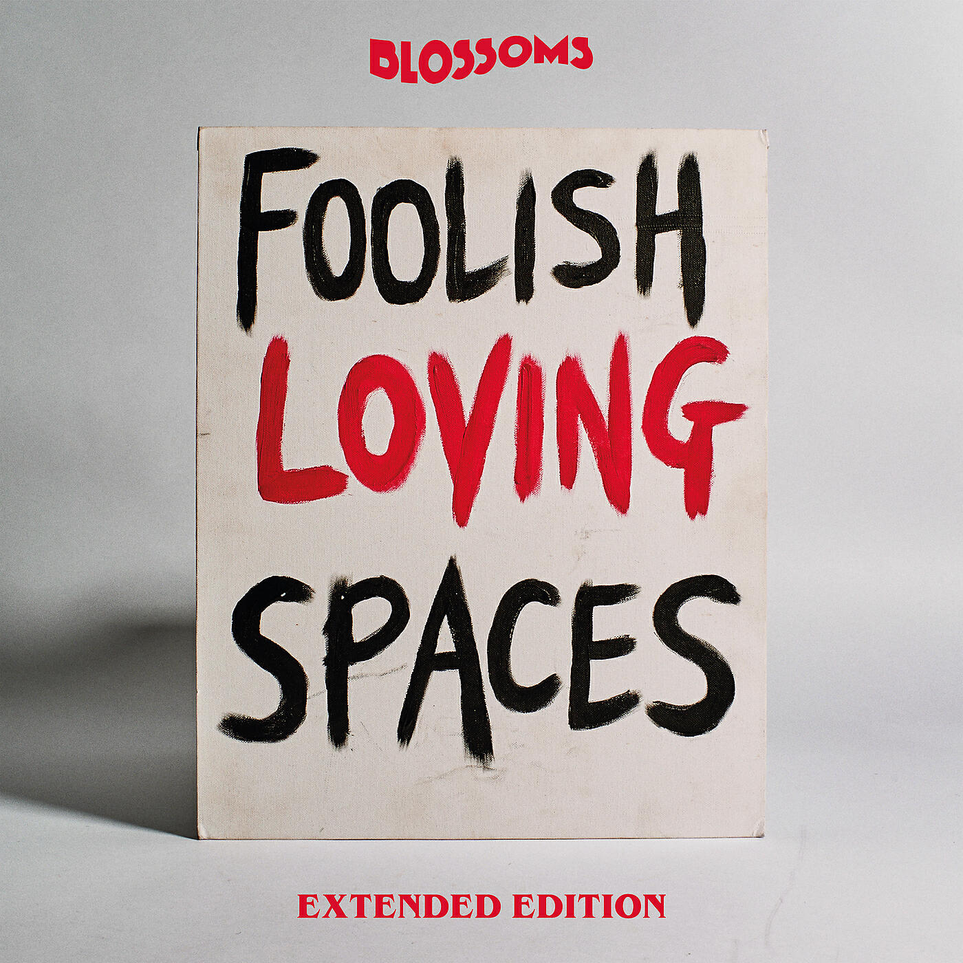 Релиз Foolish Loving Spaces (Extended Edition)