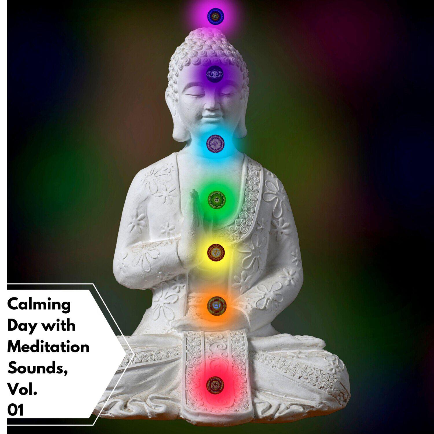 Релиз Calming Day with Meditation Sounds, Vol. 01