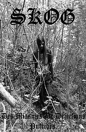 Skog