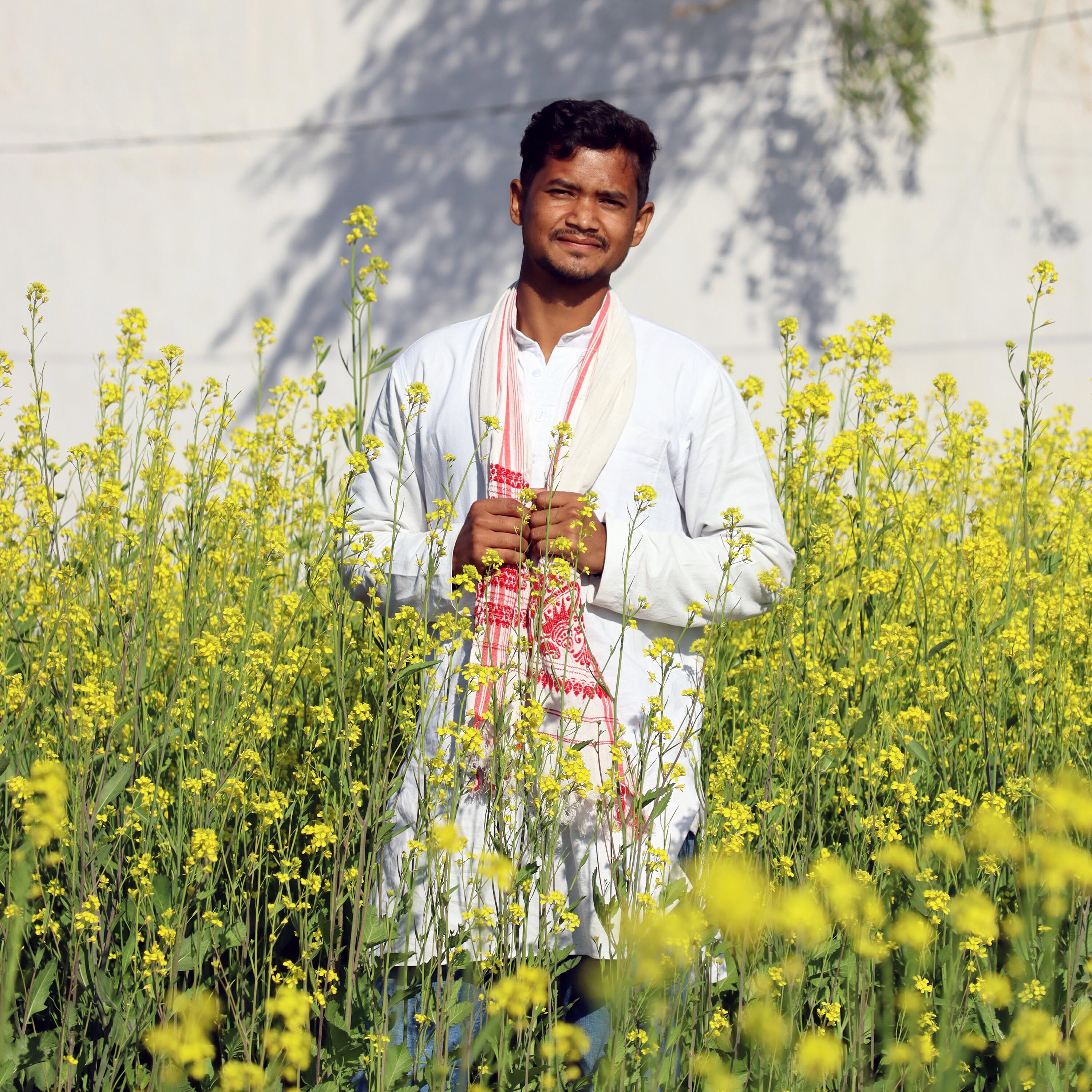 Релиз Daya Aayo Nanke