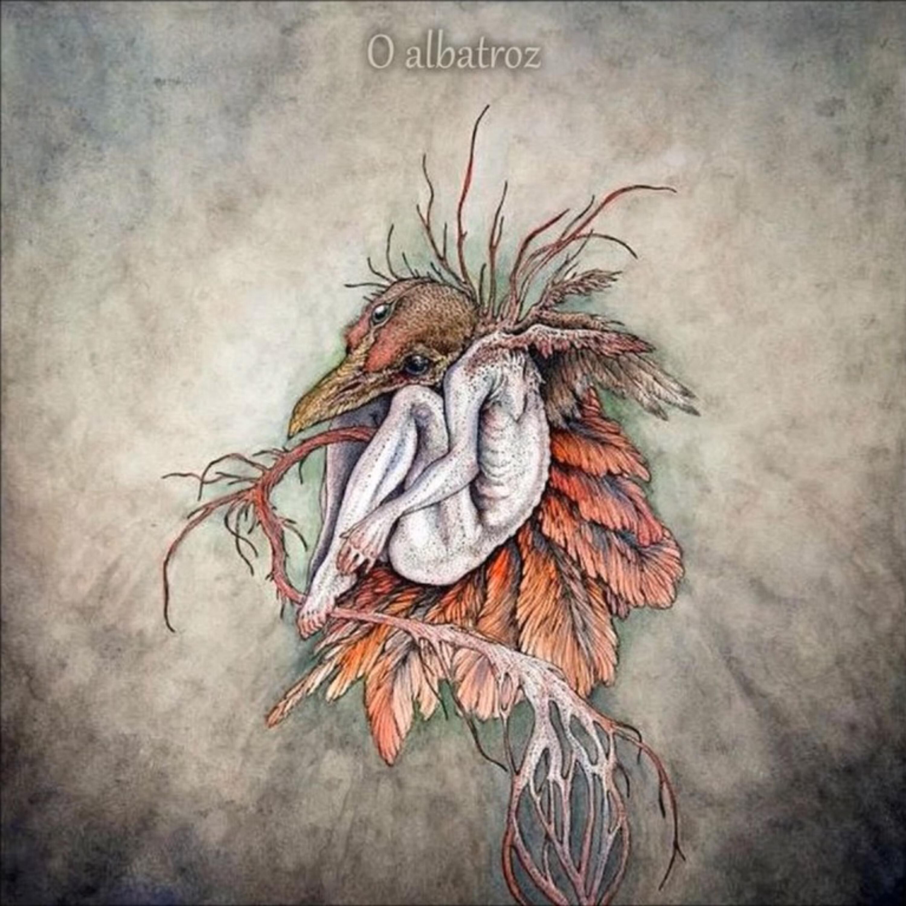 Релиз Albatroz