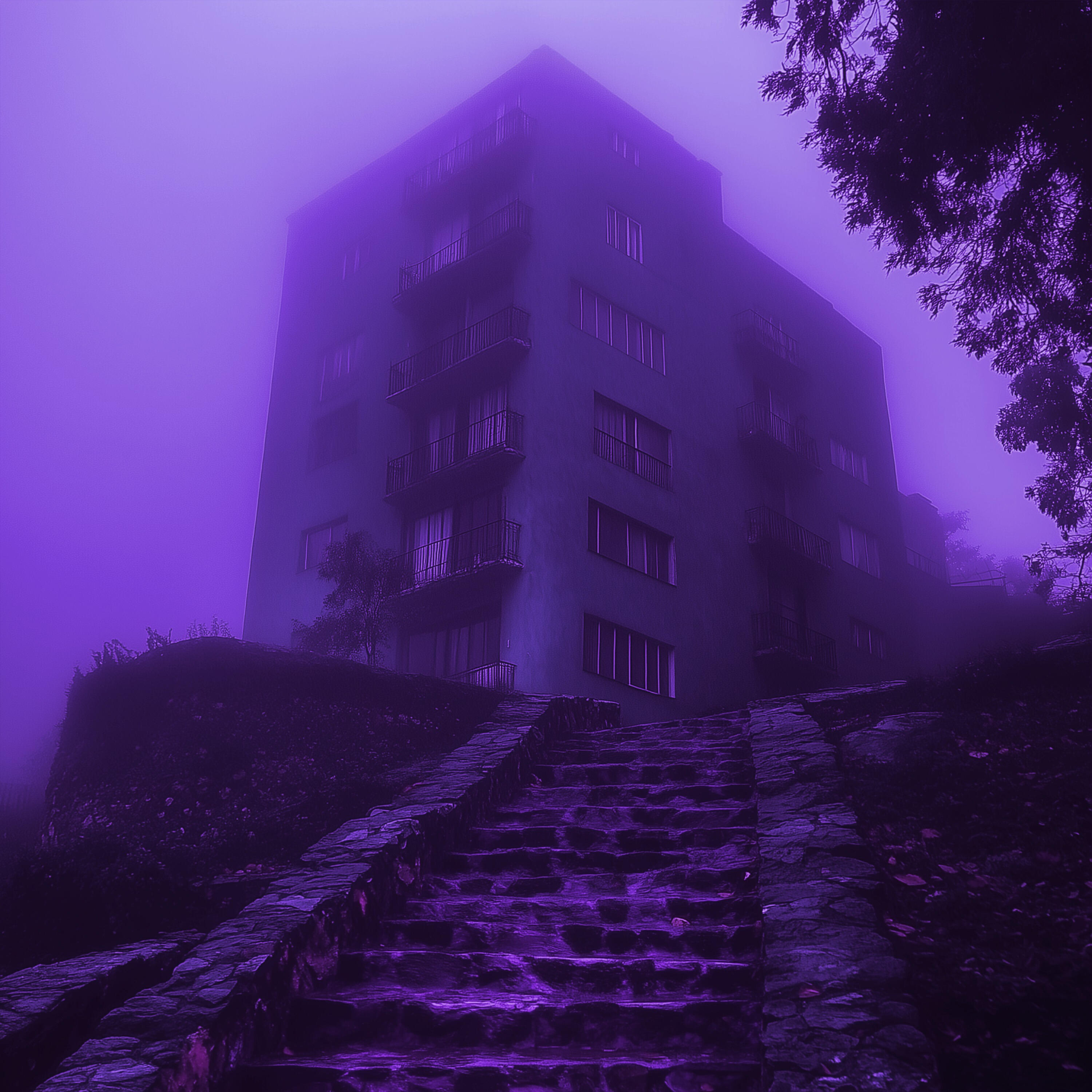 nightexpress.