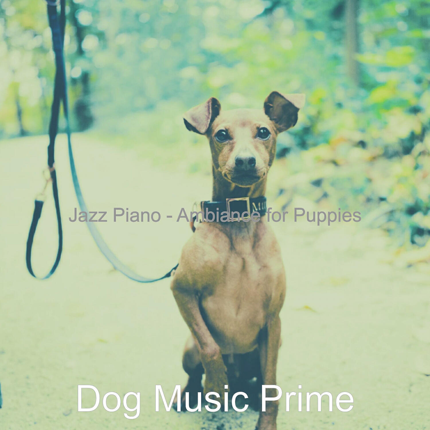 Релиз Jazz Piano - Ambiance for Puppies