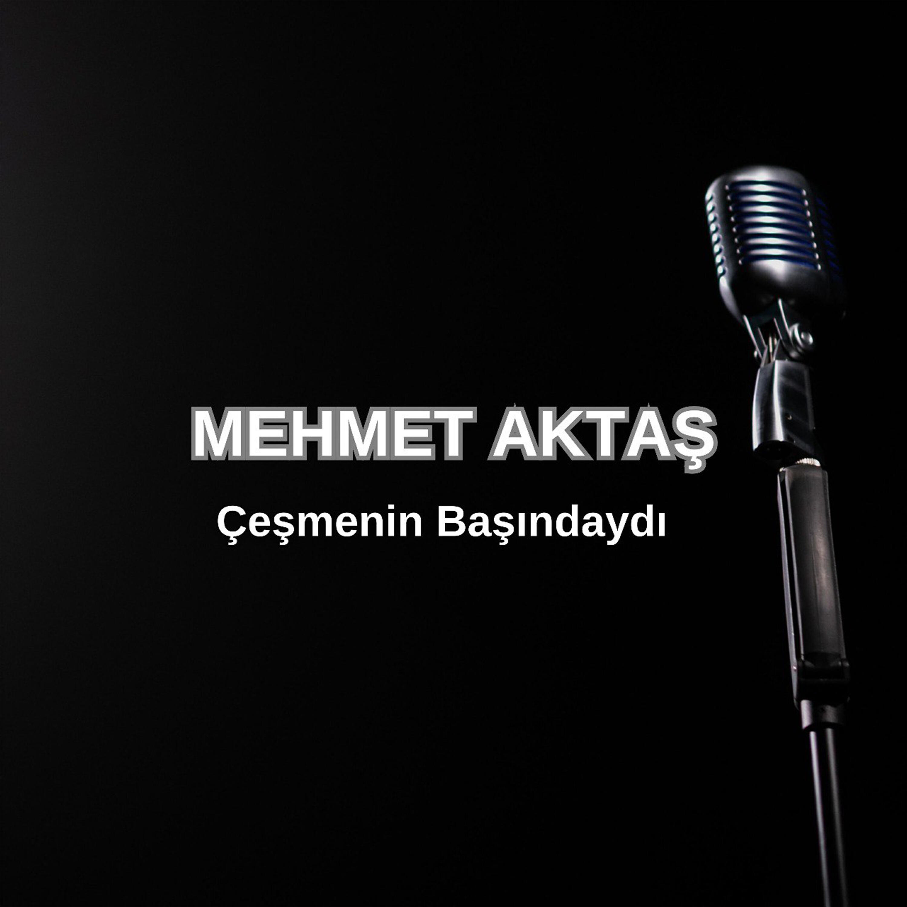 Релиз Çeşmenin Başındaydi