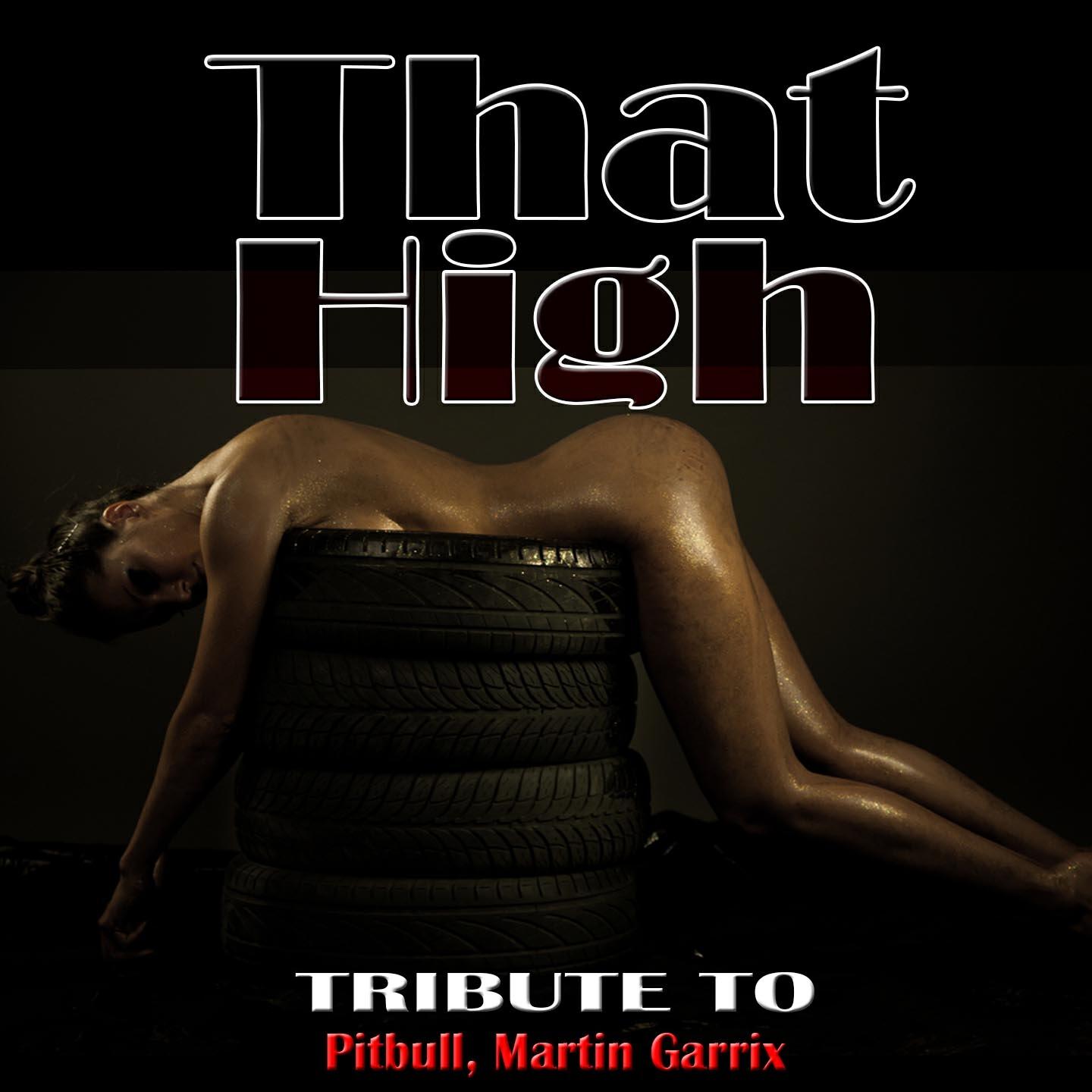 Релиз That High: Tribute to Pitbull, Martin Garrix