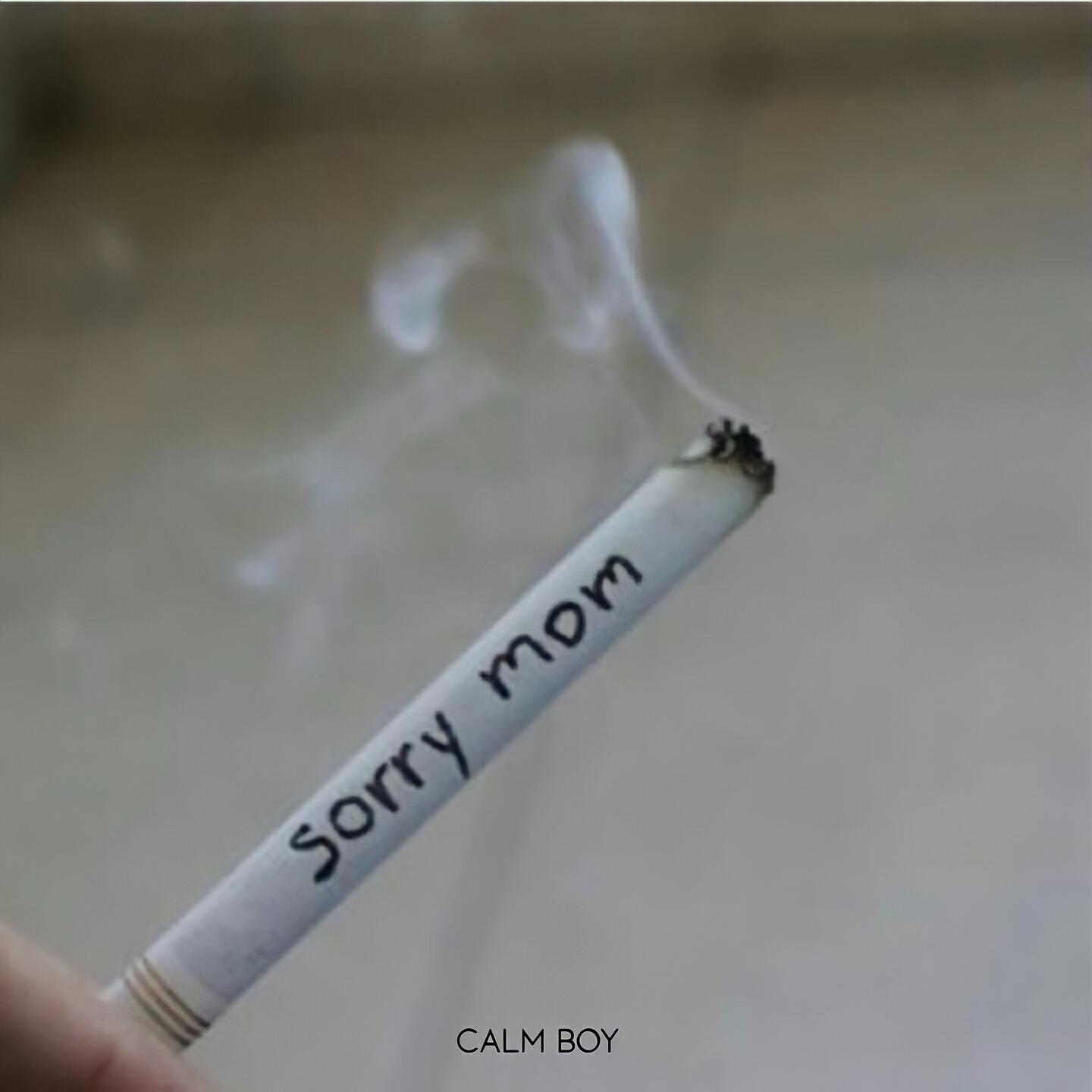Релиз Sorry Mom