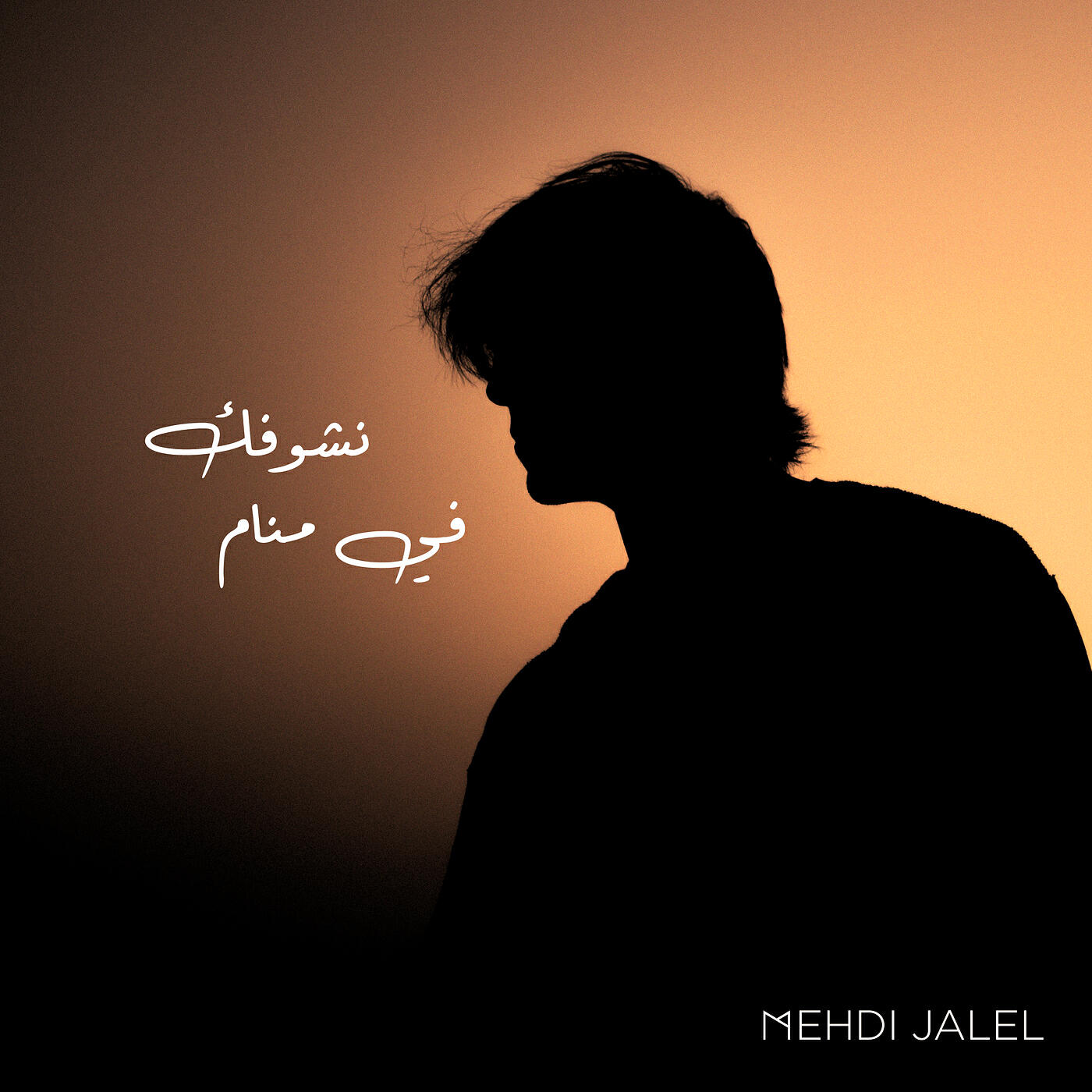Mehdi Jalel
