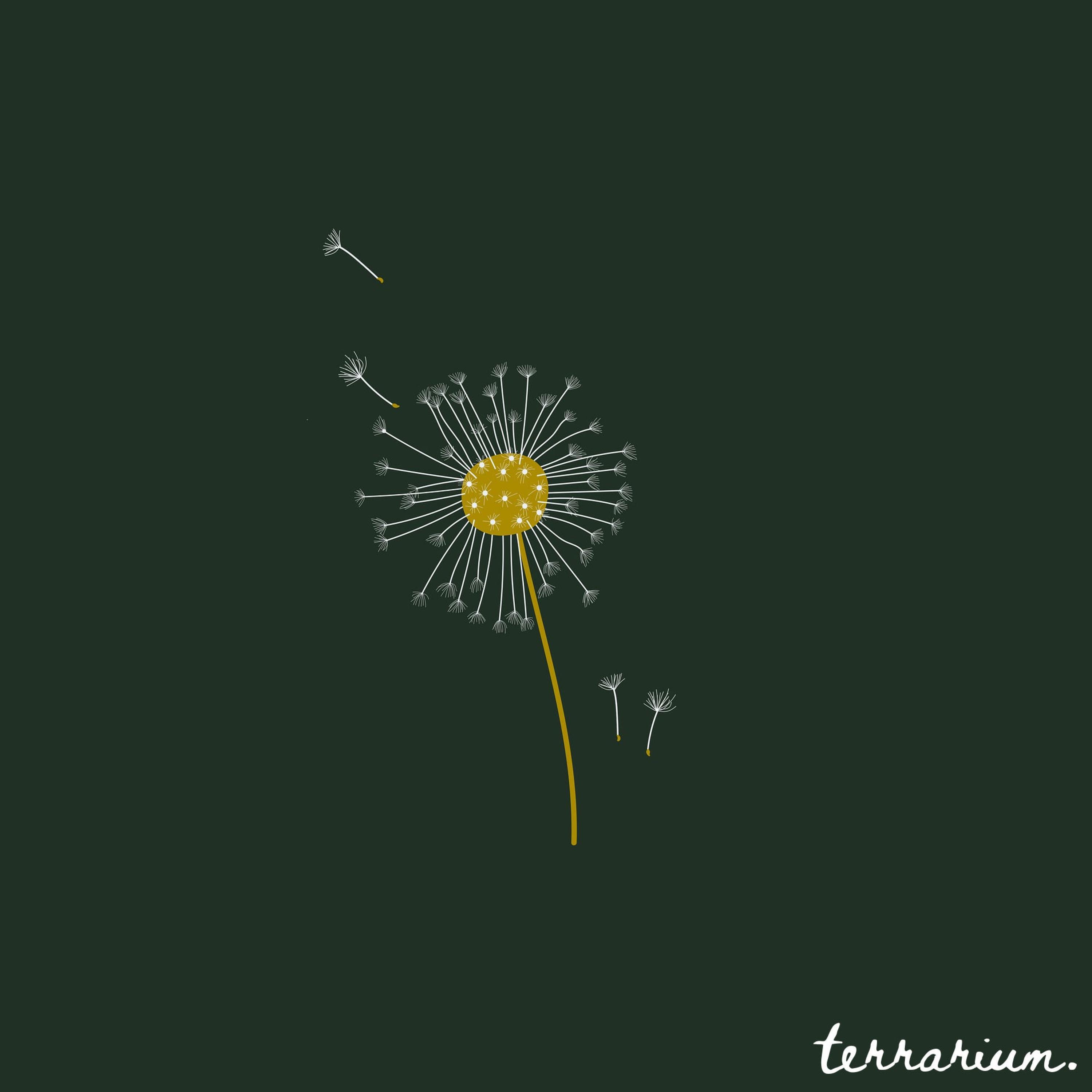 Релиз dandelions