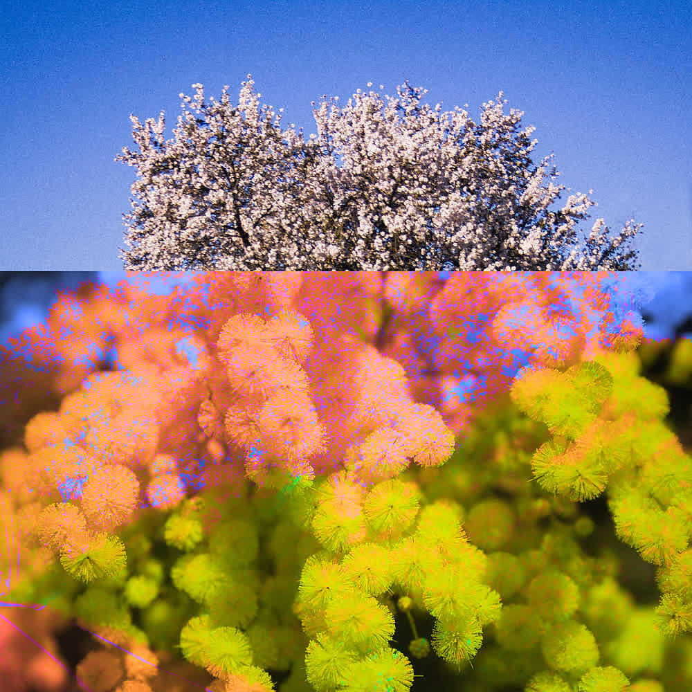 Релиз Tbh I Like You Forreal