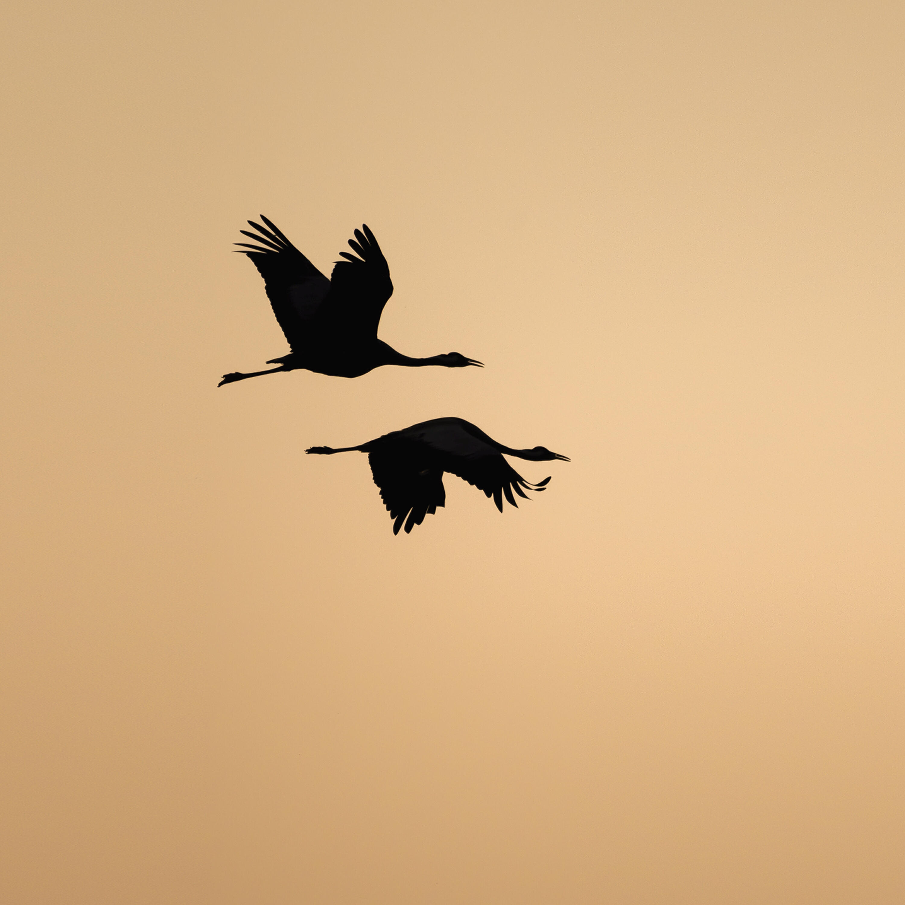 Релиз Světla je víc