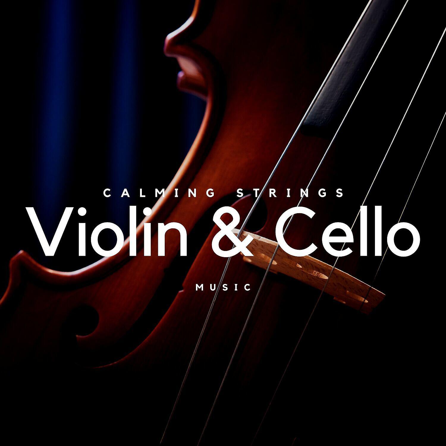 Постер альбома Violin & Cello Music