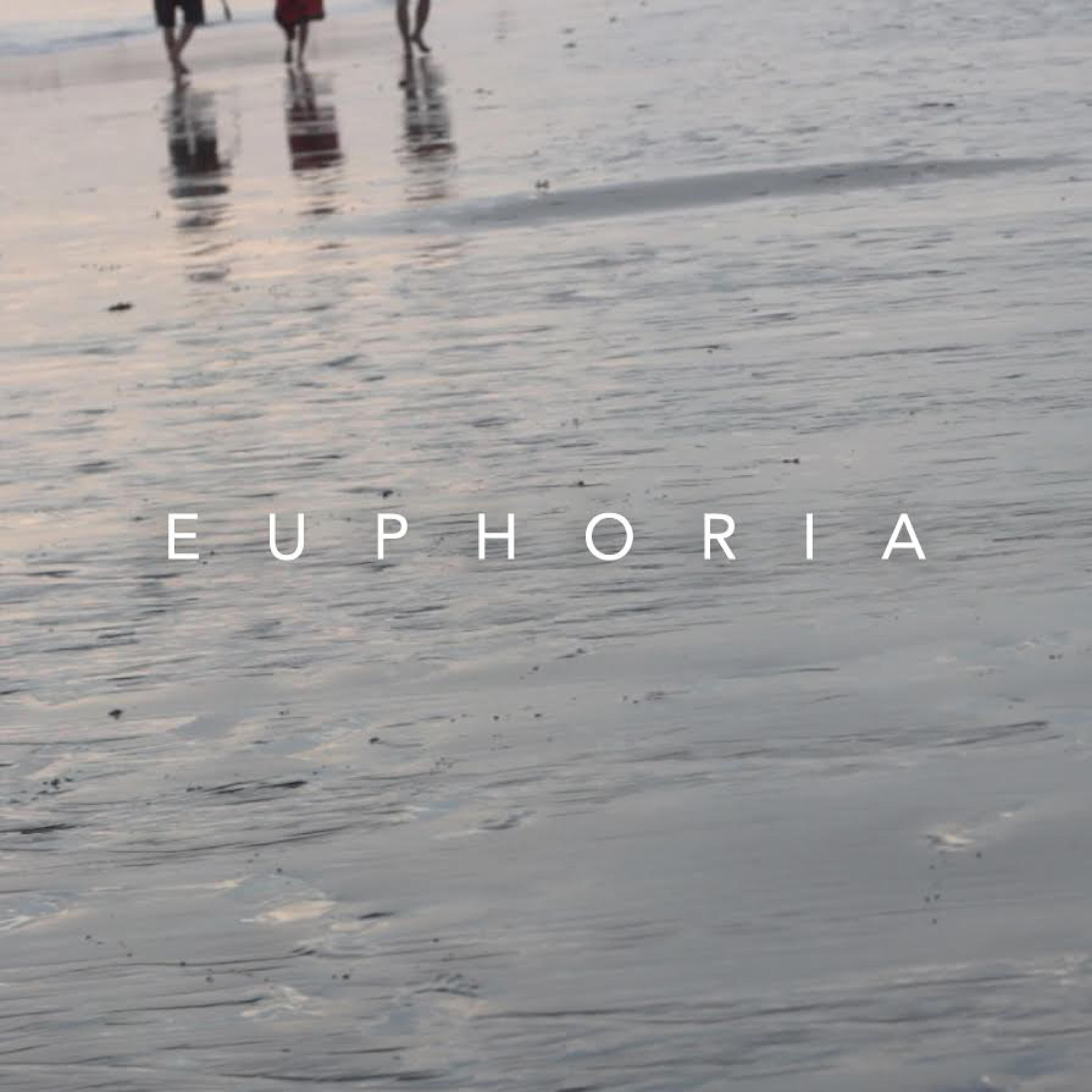 Релиз Euphoria