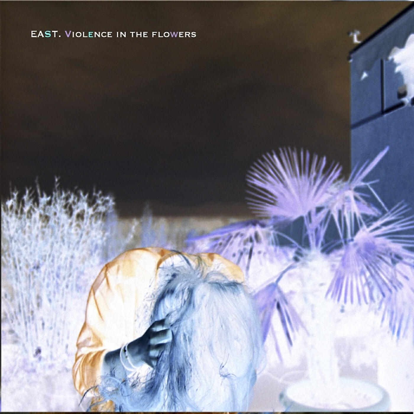 Релиз Violence in the Flowers