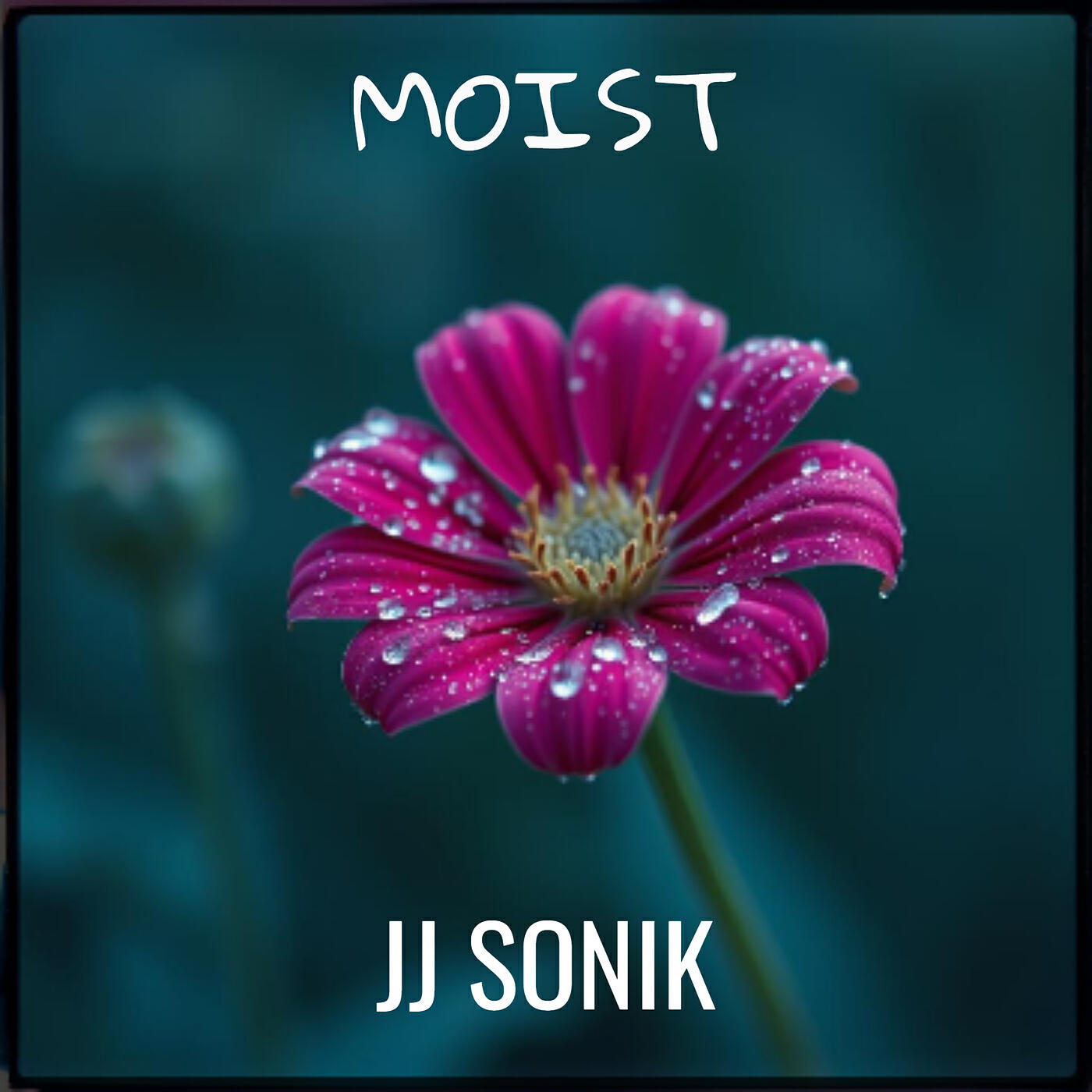 Релиз Moist
