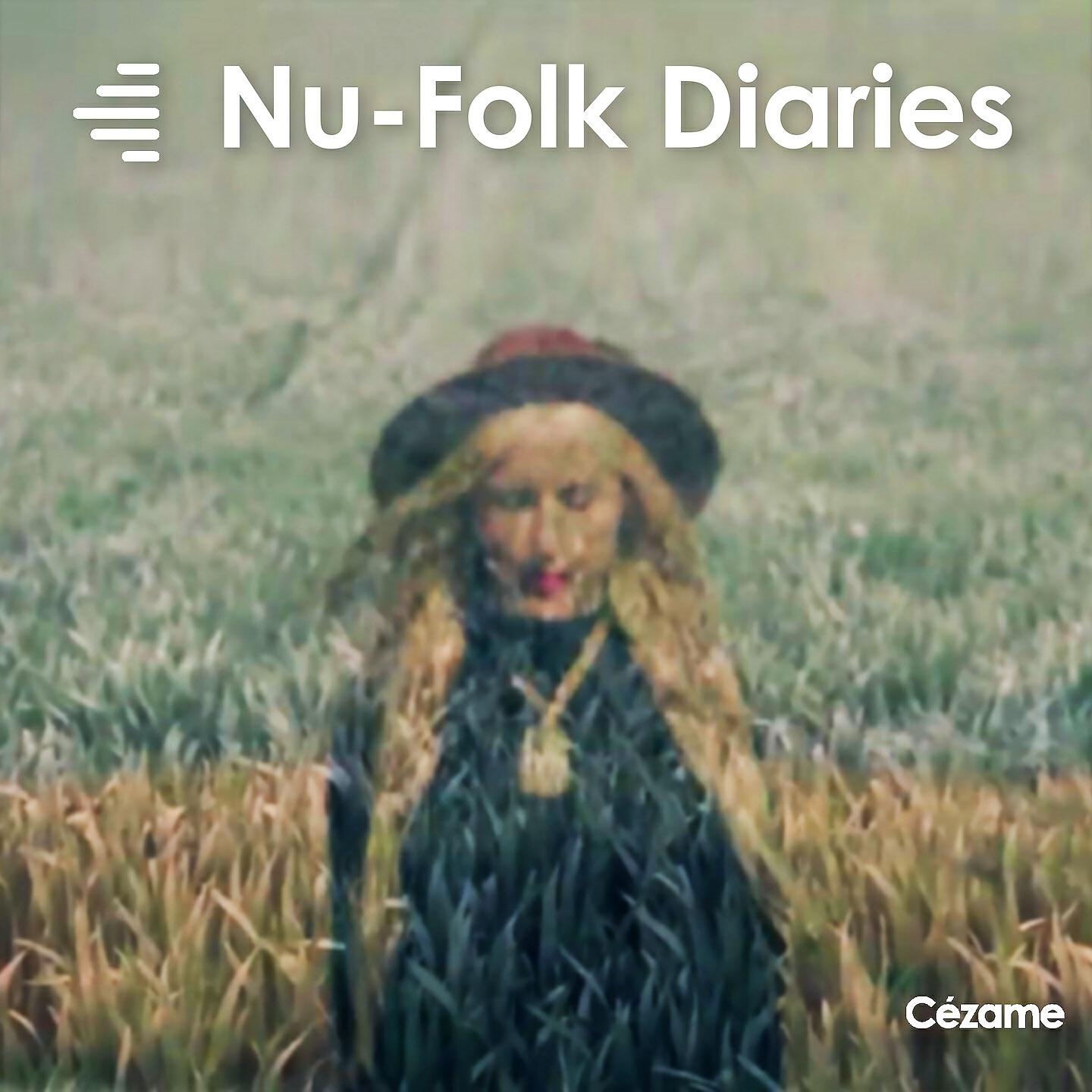Релиз Nu Folk Diaries