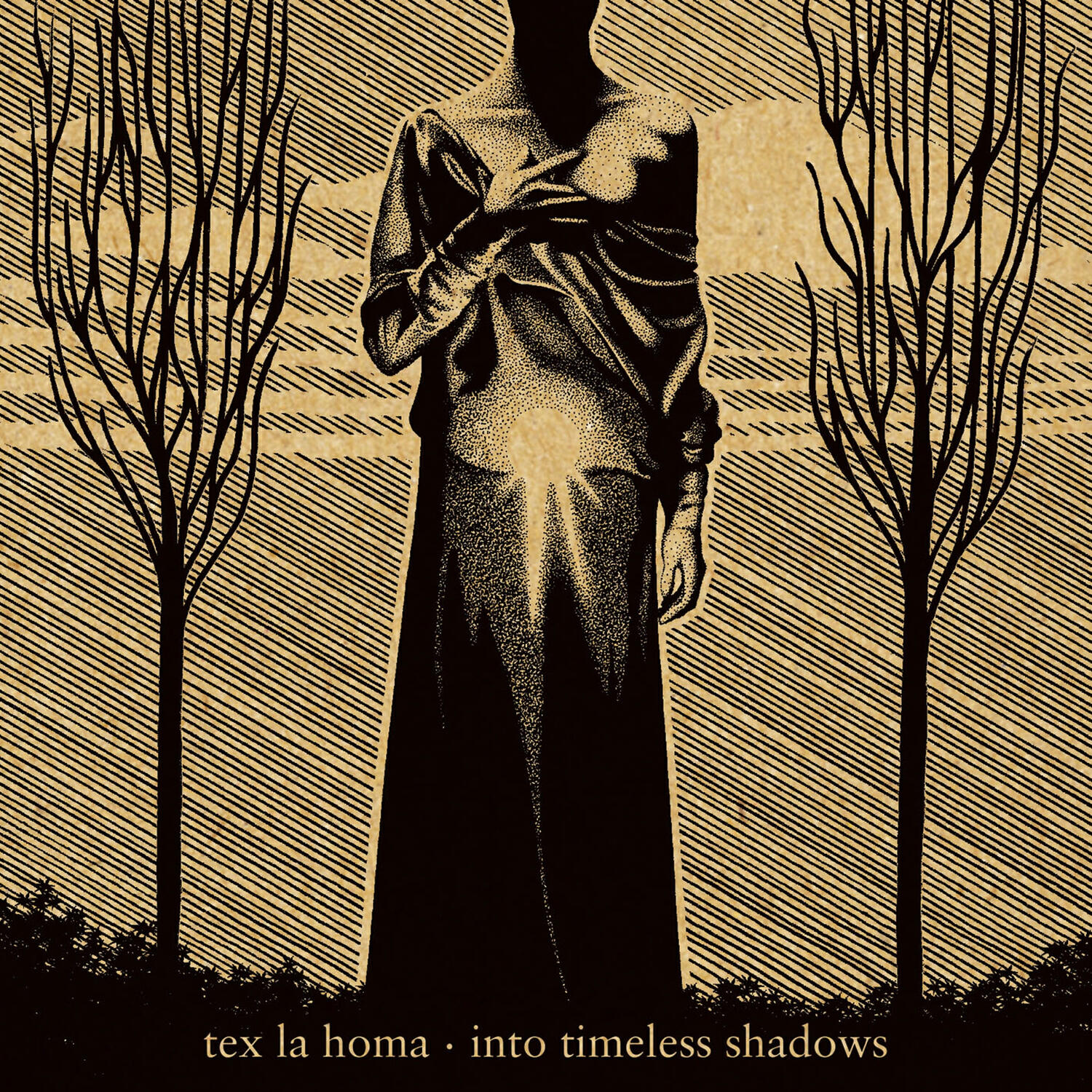 Релиз Into Timeless Shadows