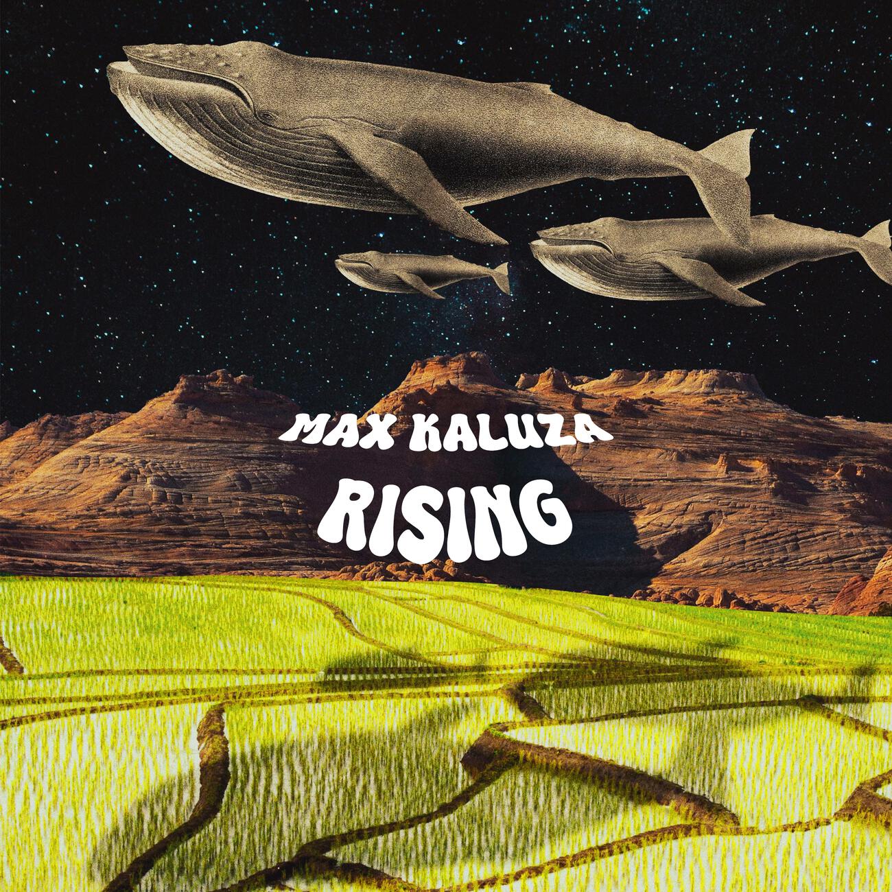 Релиз Rising