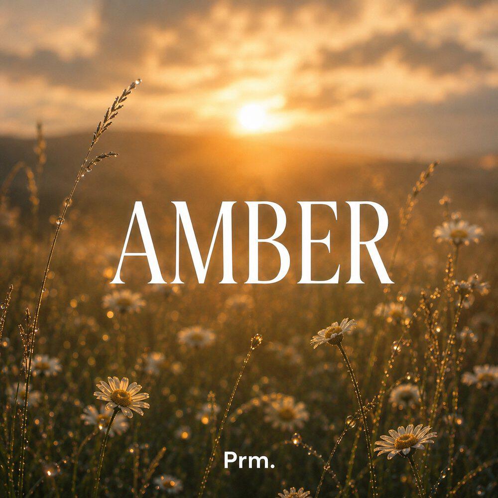 Релиз Amber