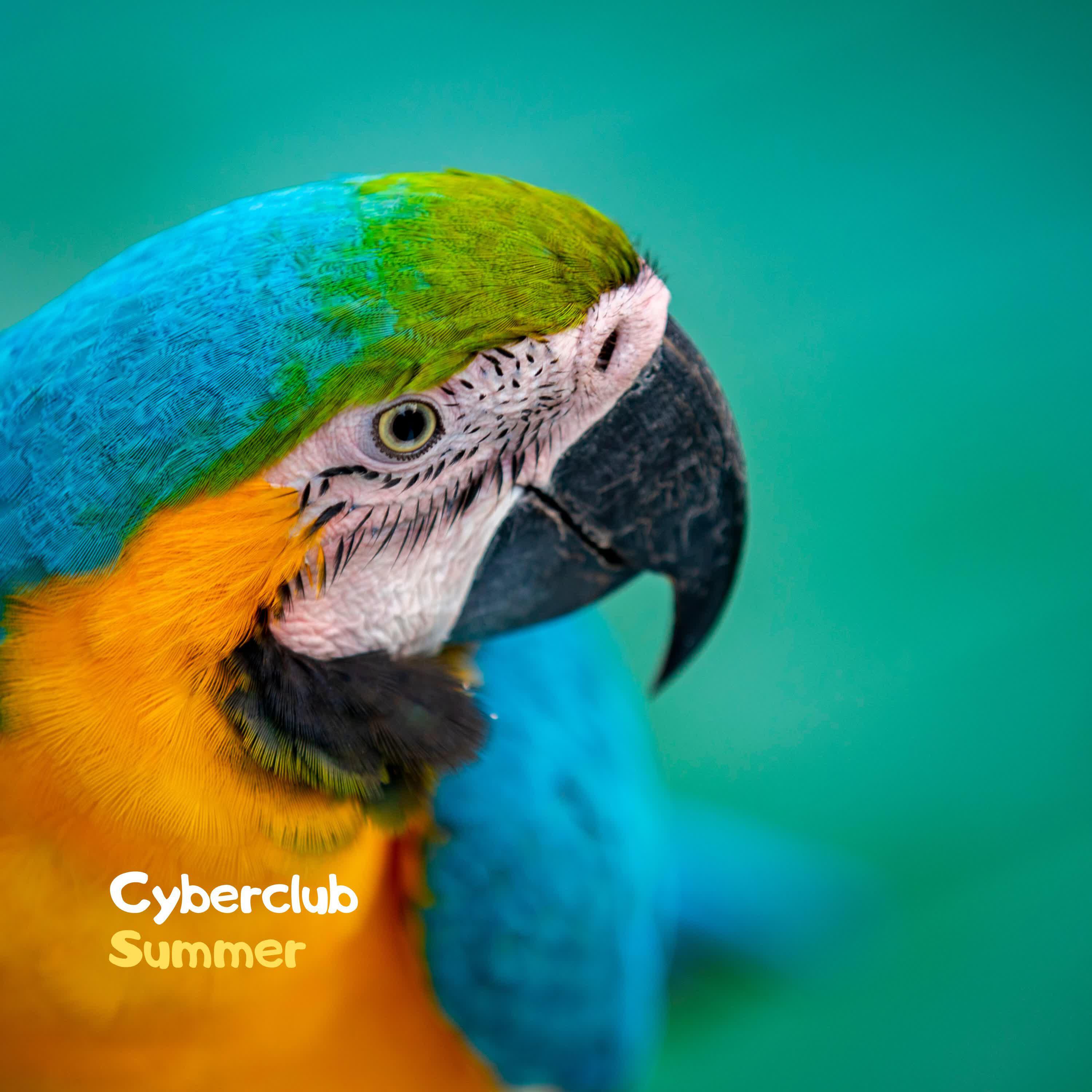 Релиз Summer