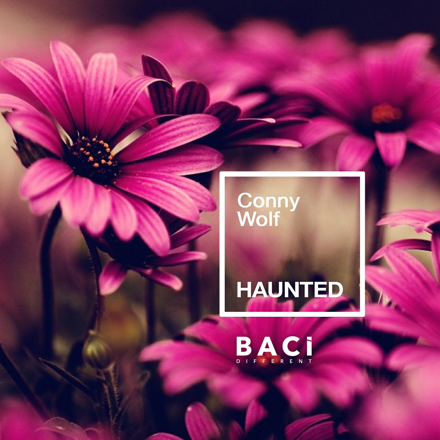 Релиз Haunted