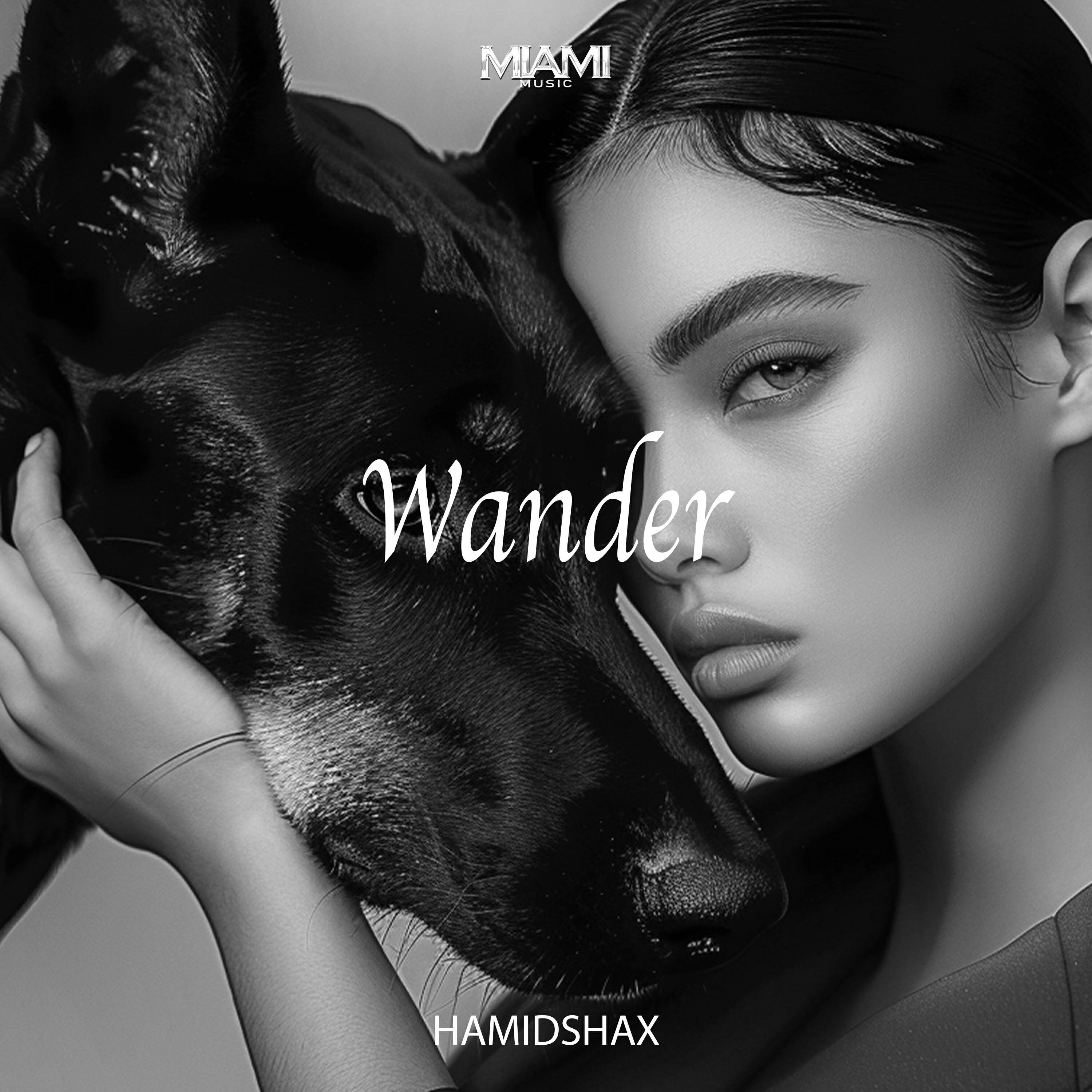 Релиз Wander