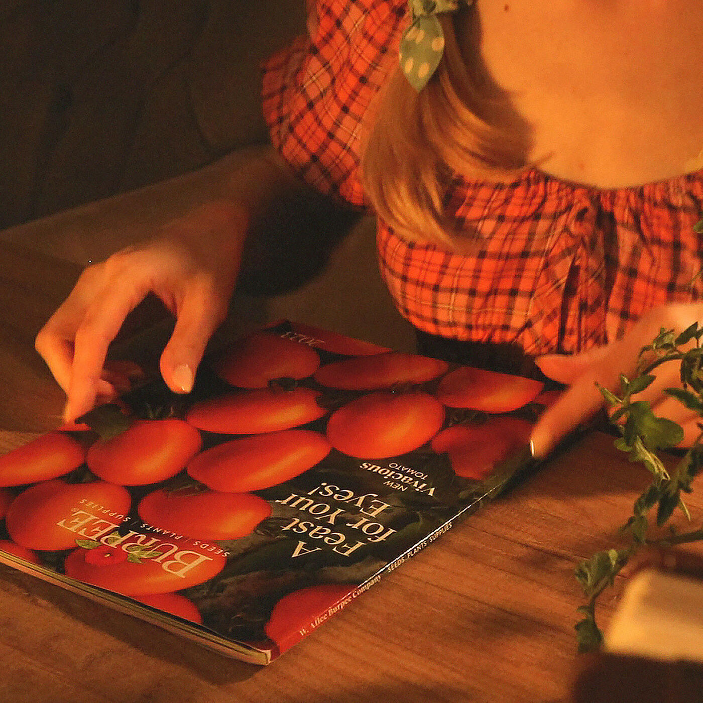 Релиз Relaxing Whispered Seed Catalogs Asmr