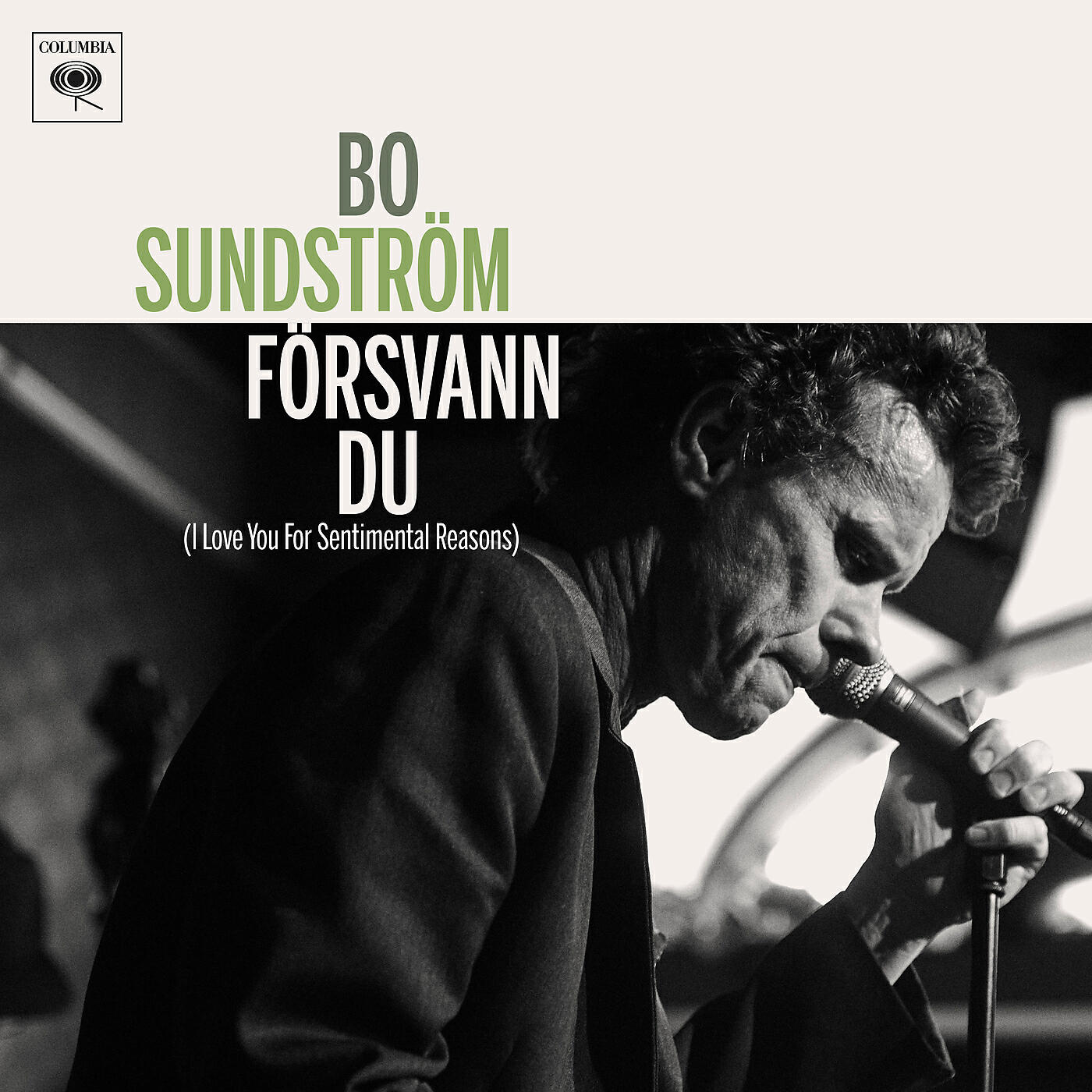 Релиз Försvann du