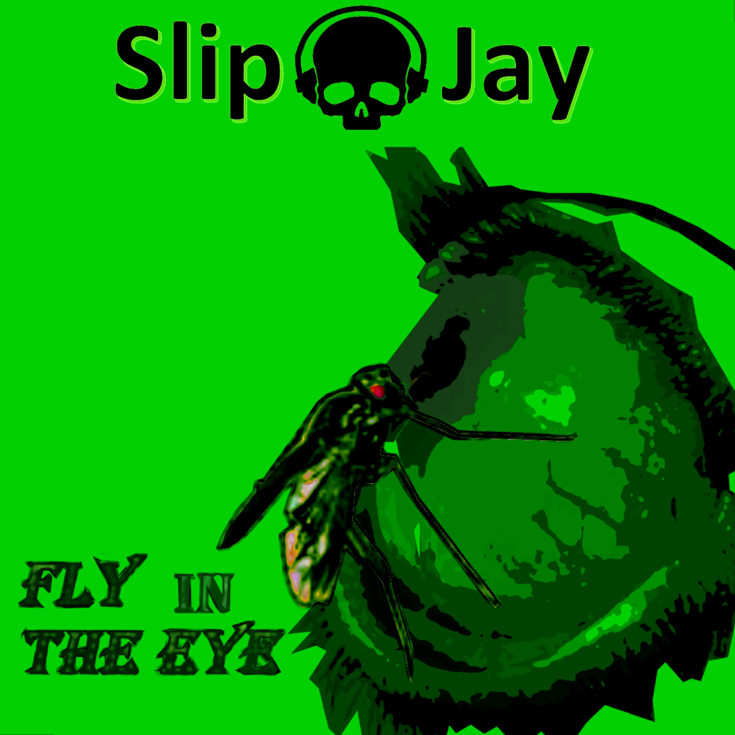 Релиз Fly in the Eye