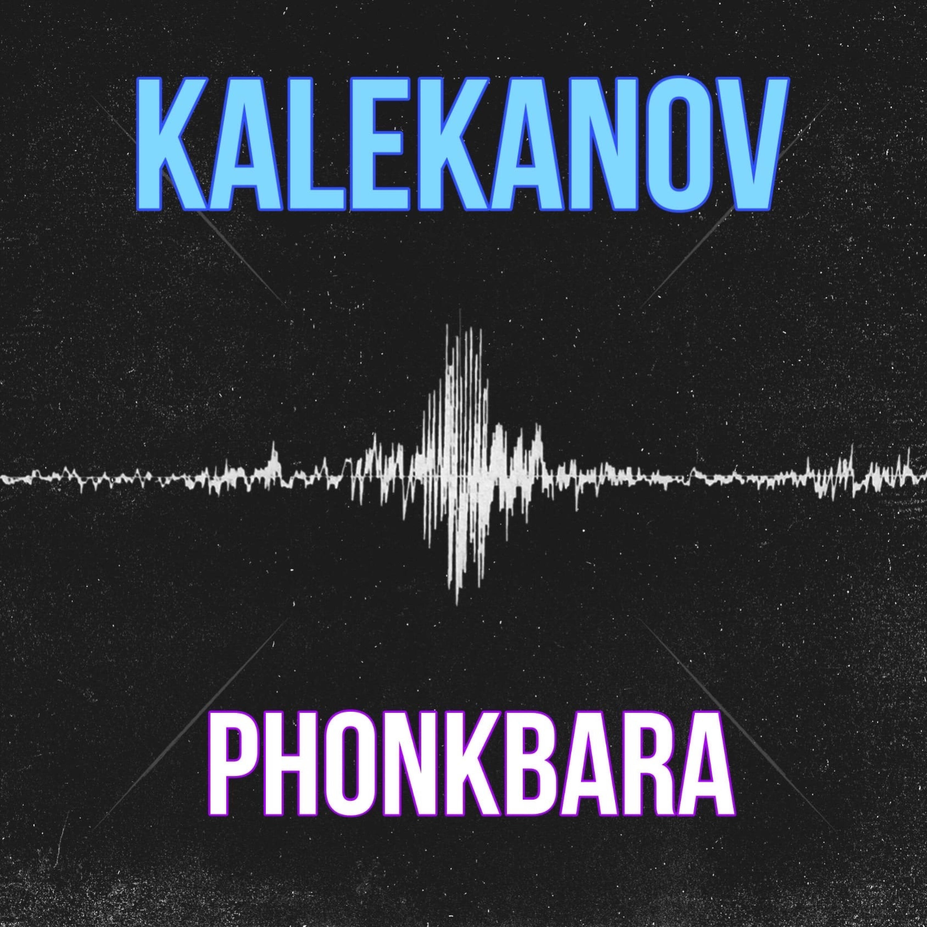 Постер альбома Phonkbara