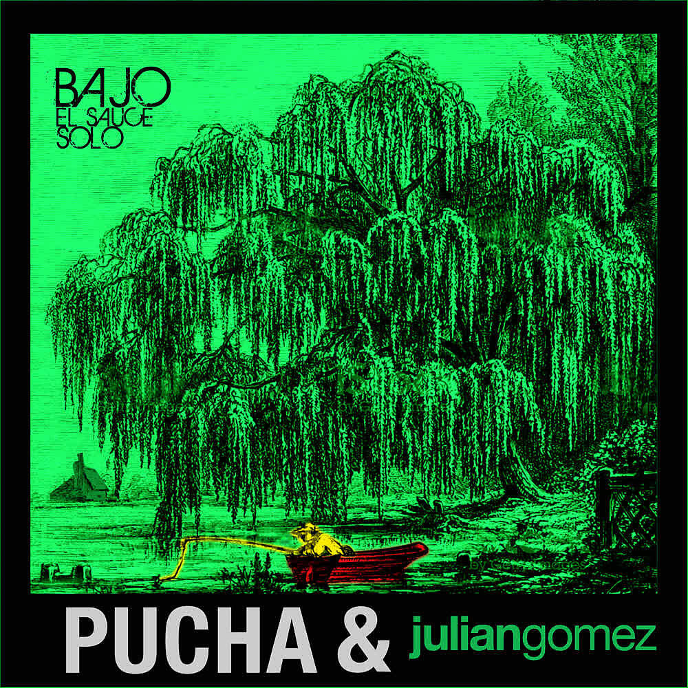 Pucha