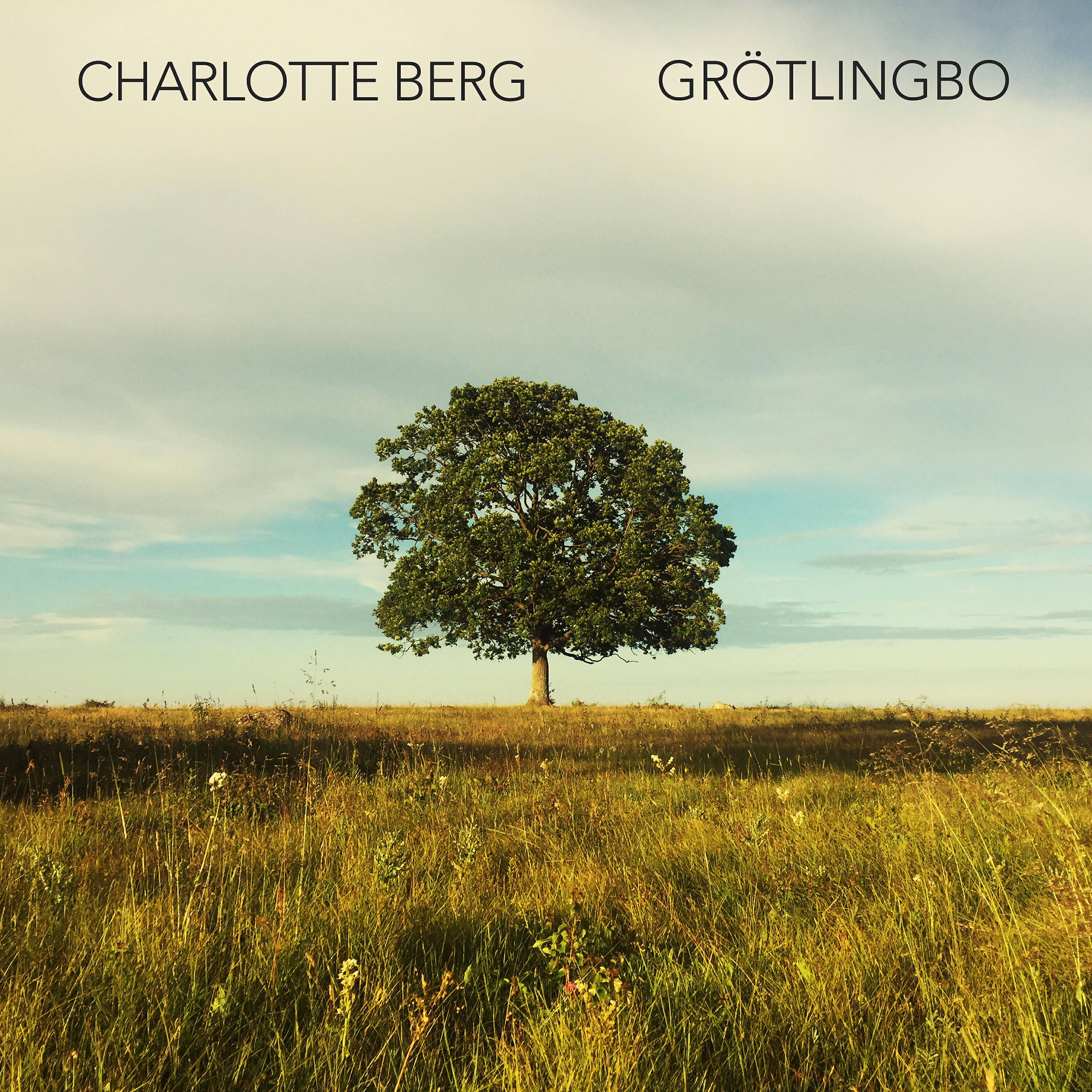 Трек Grötlingbo