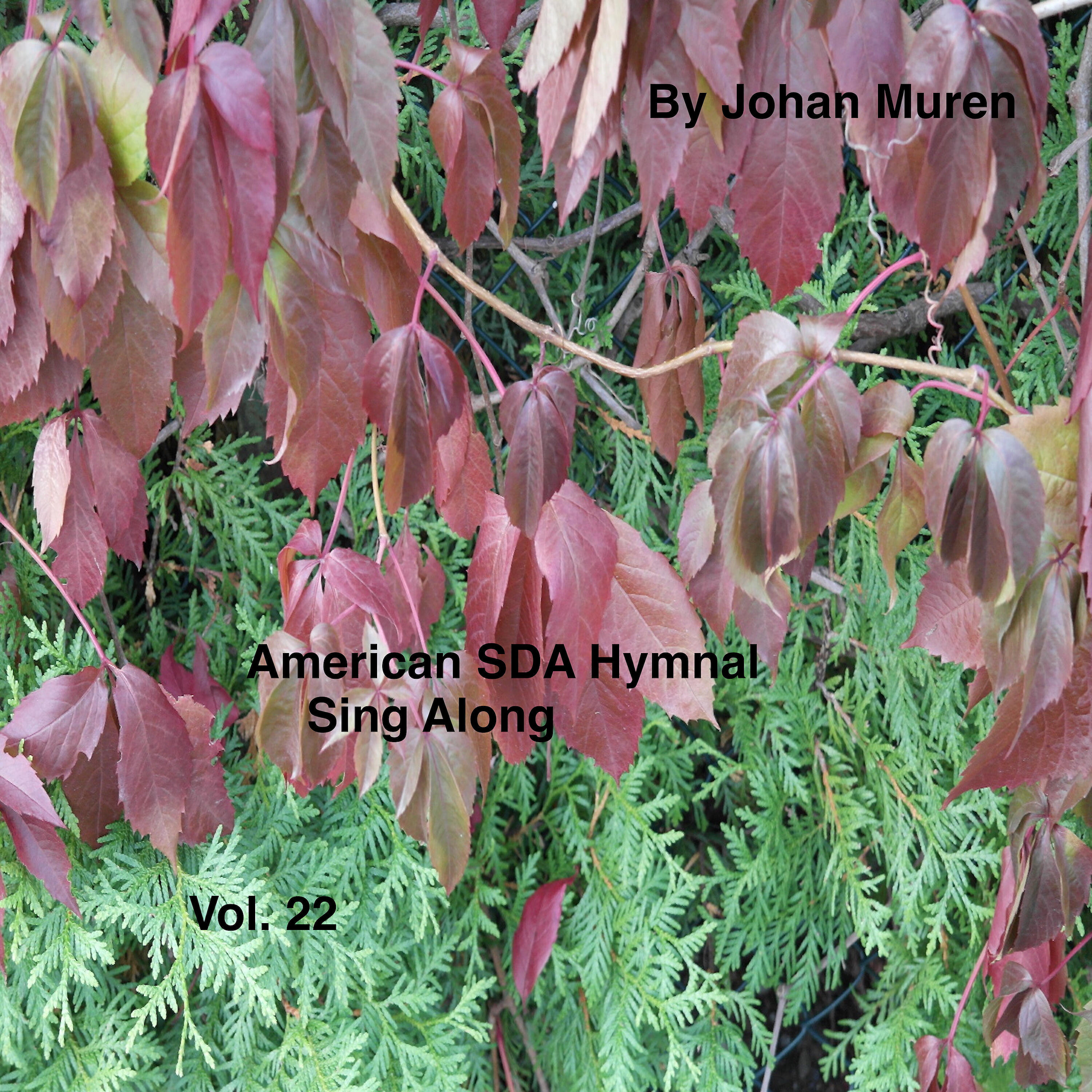 Релиз American Sda Hymnal Sing Along Vol.22