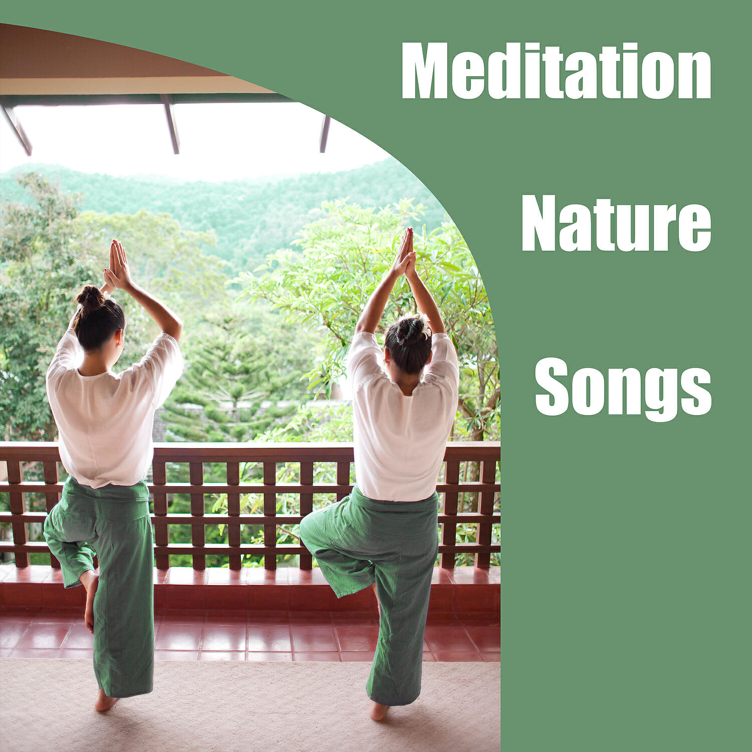 Релиз Meditation Nature Songs - The Best New Age Music, Magical Music of Nature, Healing Water Sounds, Ocean Waves, Spa, Meditation, Sleep Music