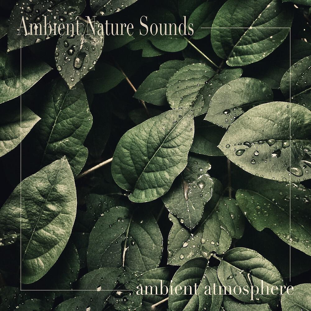 Постер альбома Ambient Atmosphere