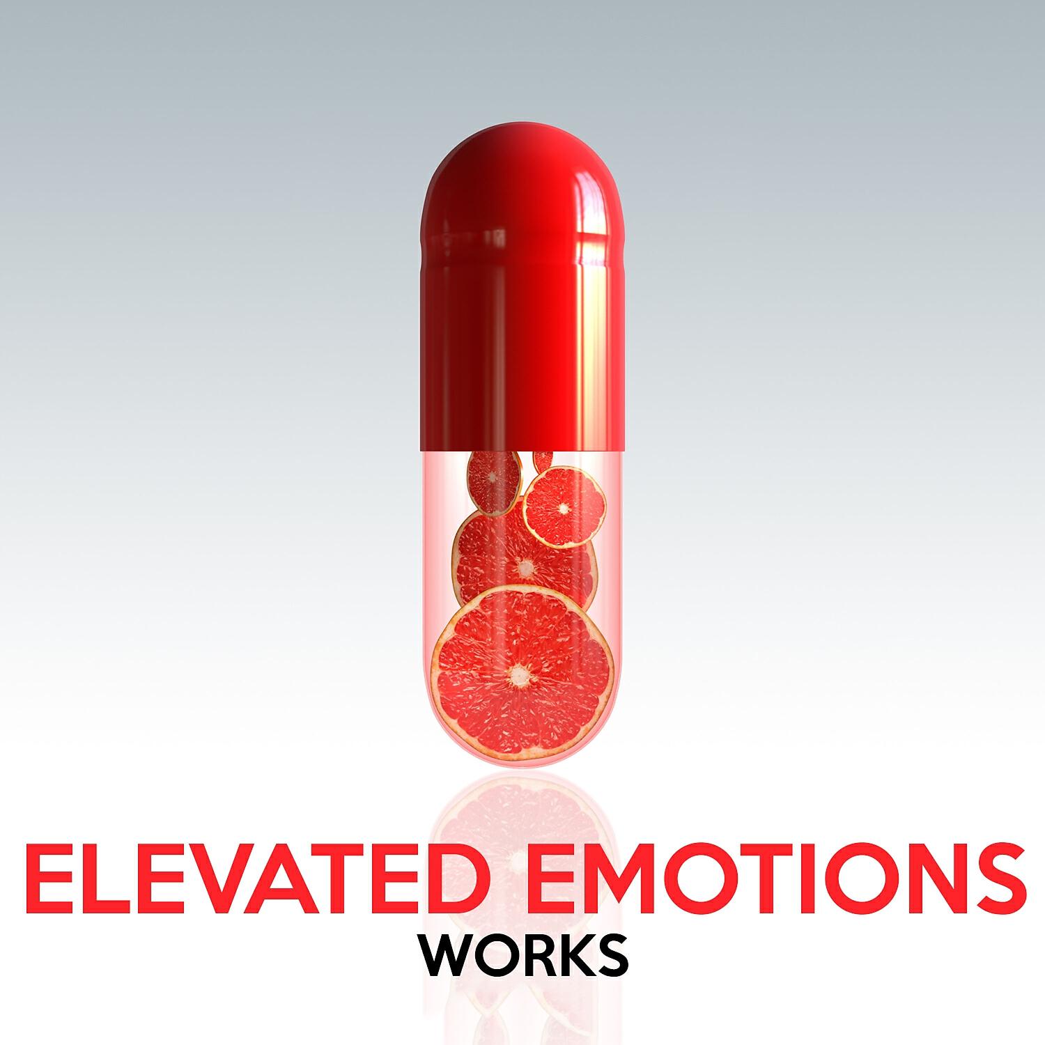 Релиз Elevated Emotions Works
