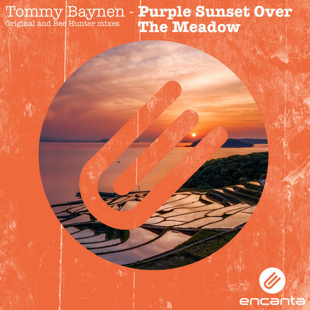 Релиз Purple Sunset Over the Meadow
