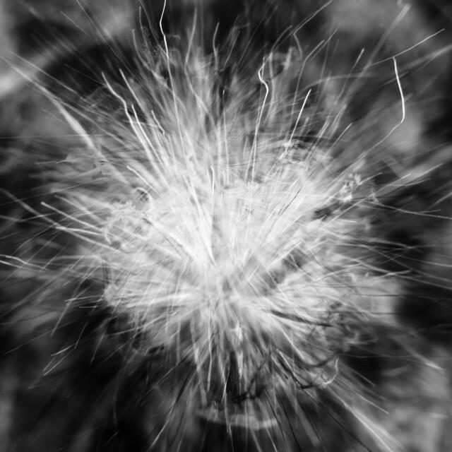 Релиз Scattered Remains