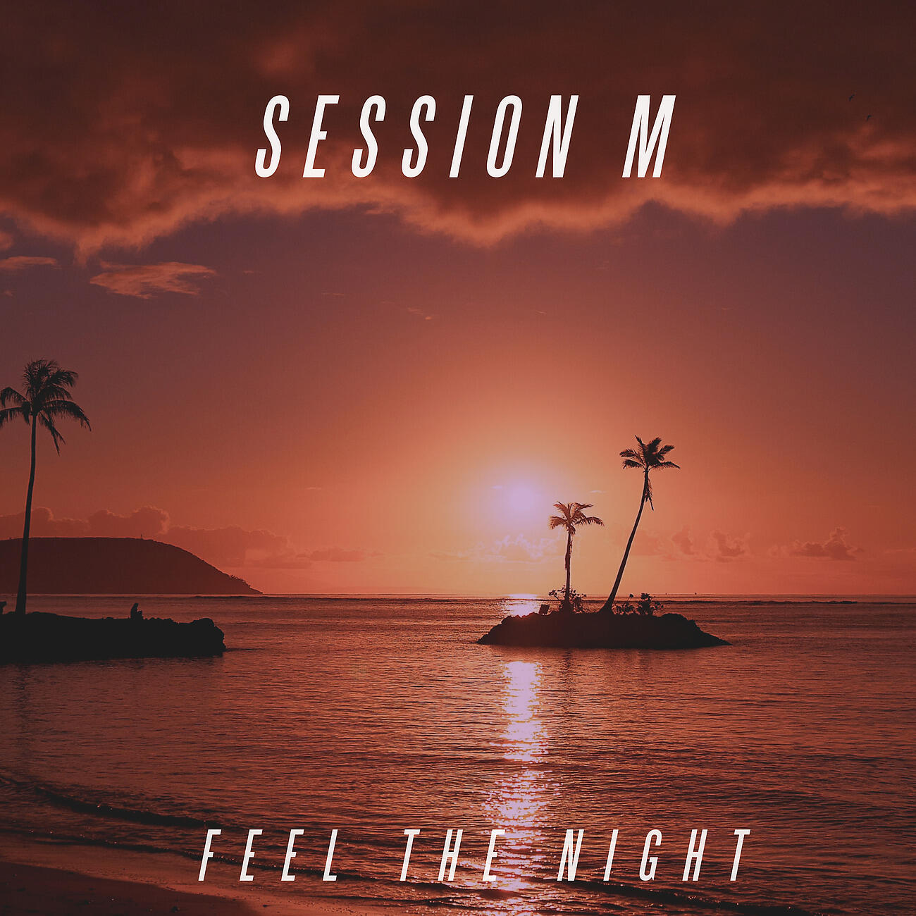 Релиз Feel The Night