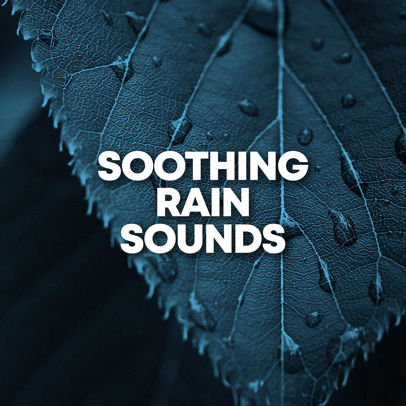 Релиз Soothing Rain Sounds