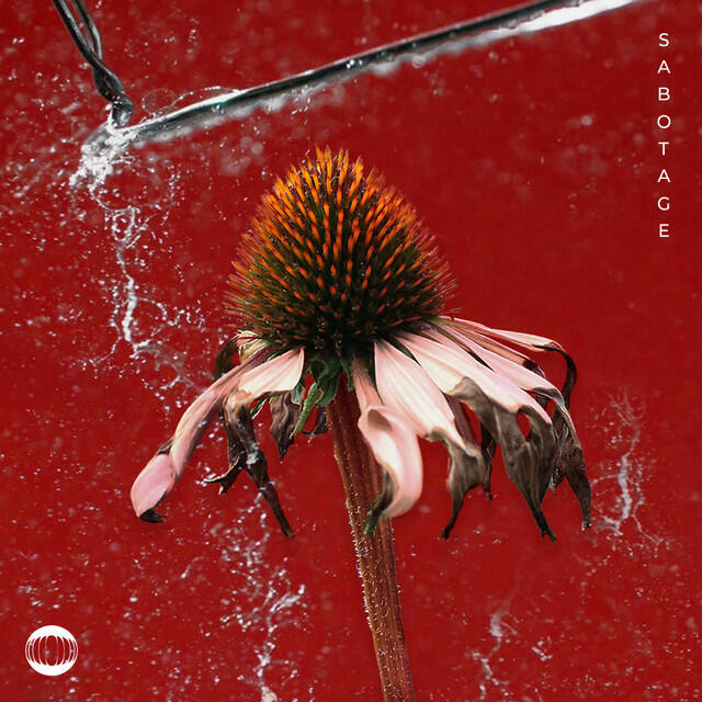 Релиз Sabotage