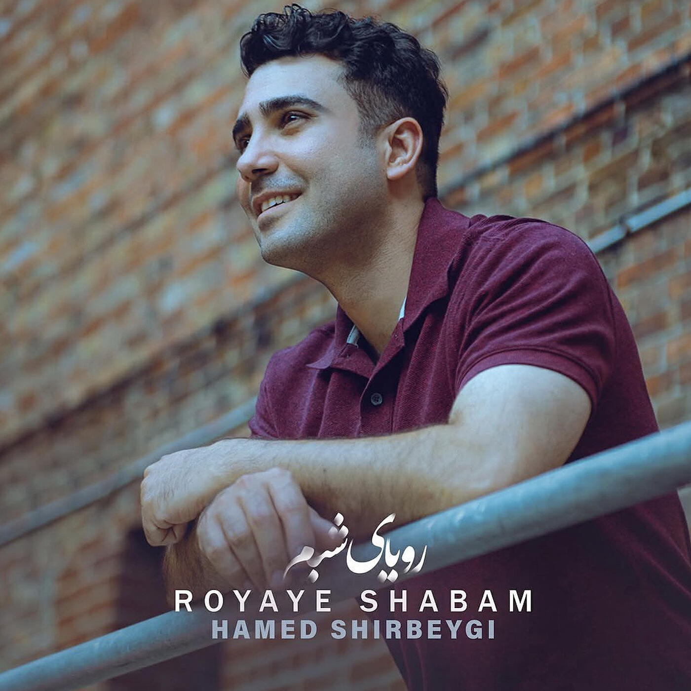 Hamed Shirbeygi
