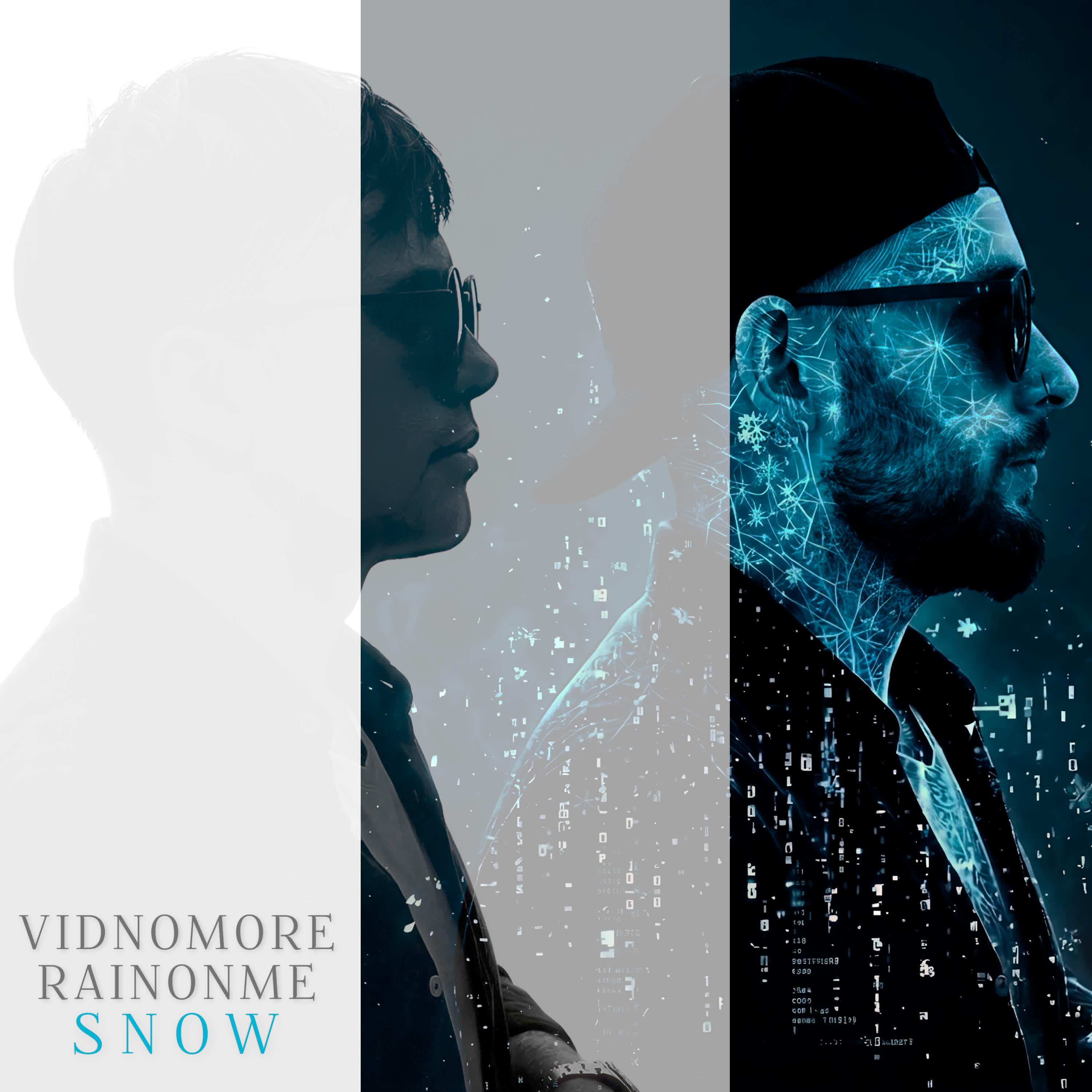 VIDNOMORE
