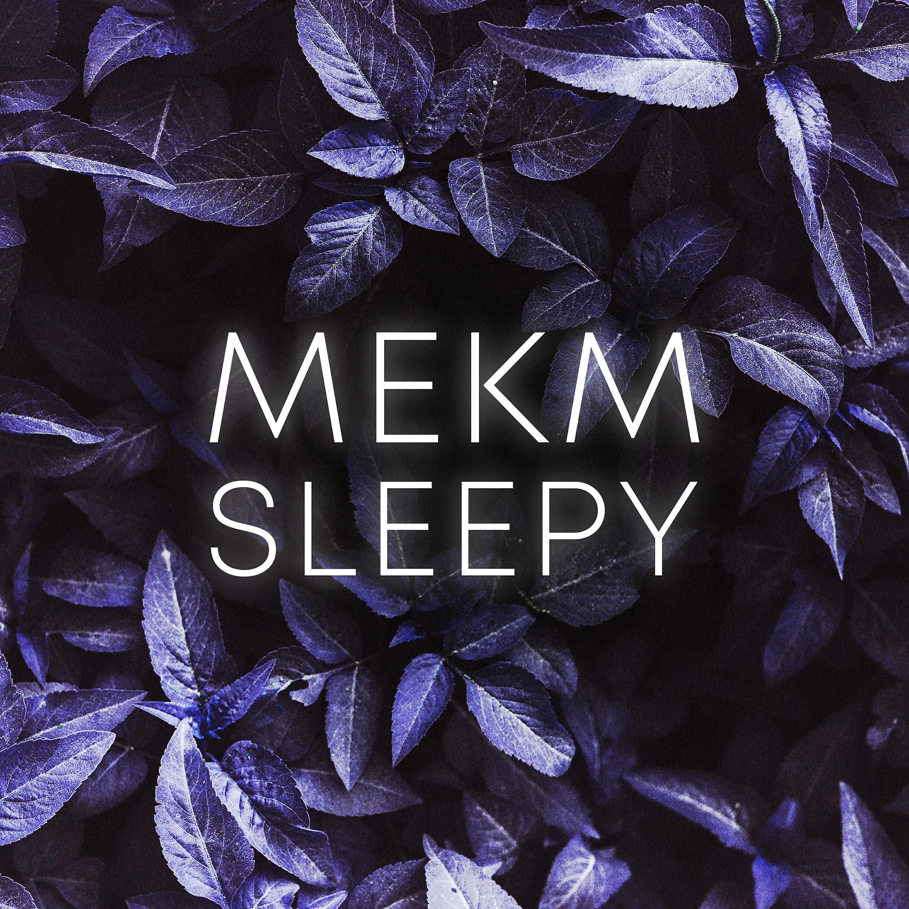 Релиз Sleepy
