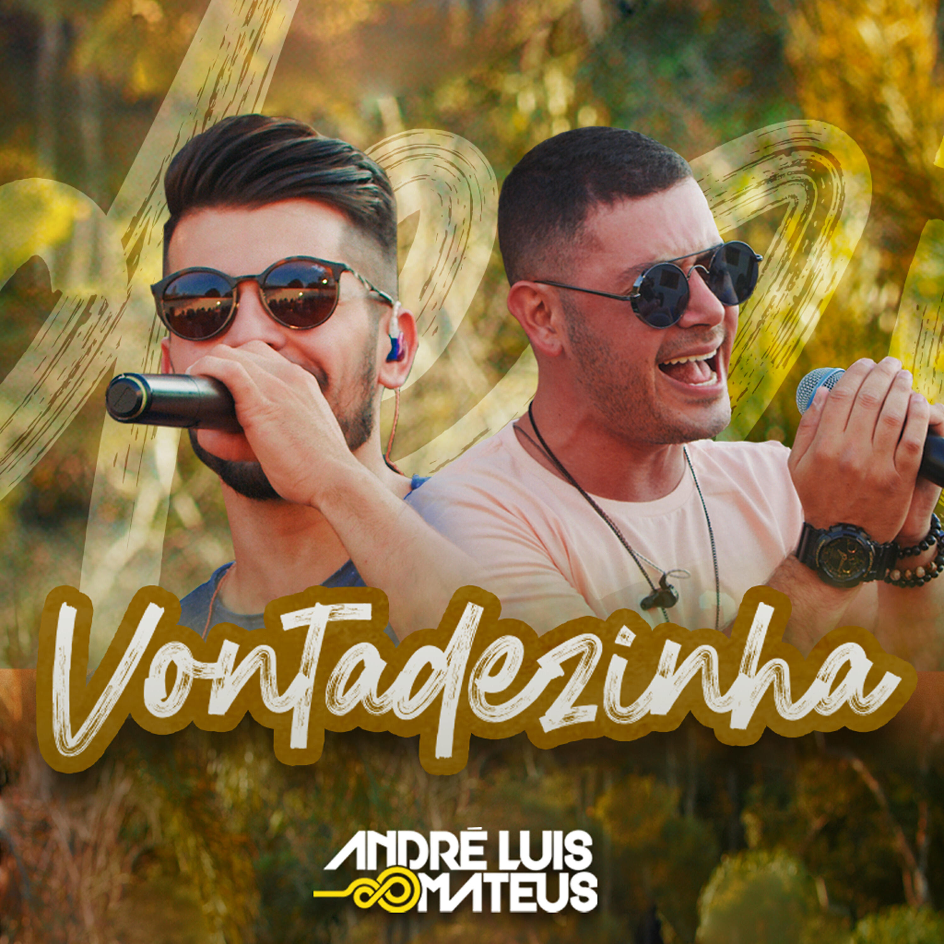 Релиз Vontadezinha