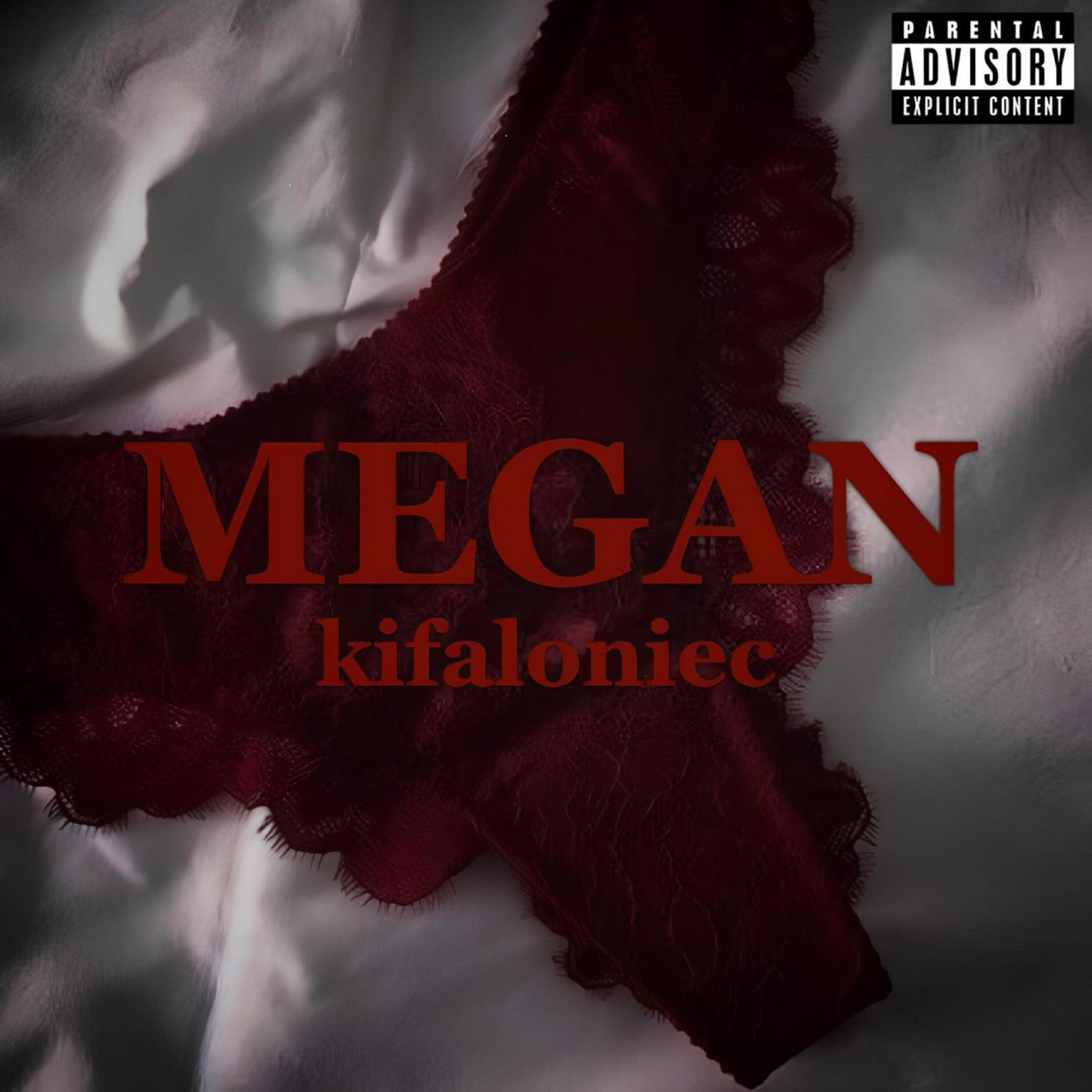 Релиз MEGAN