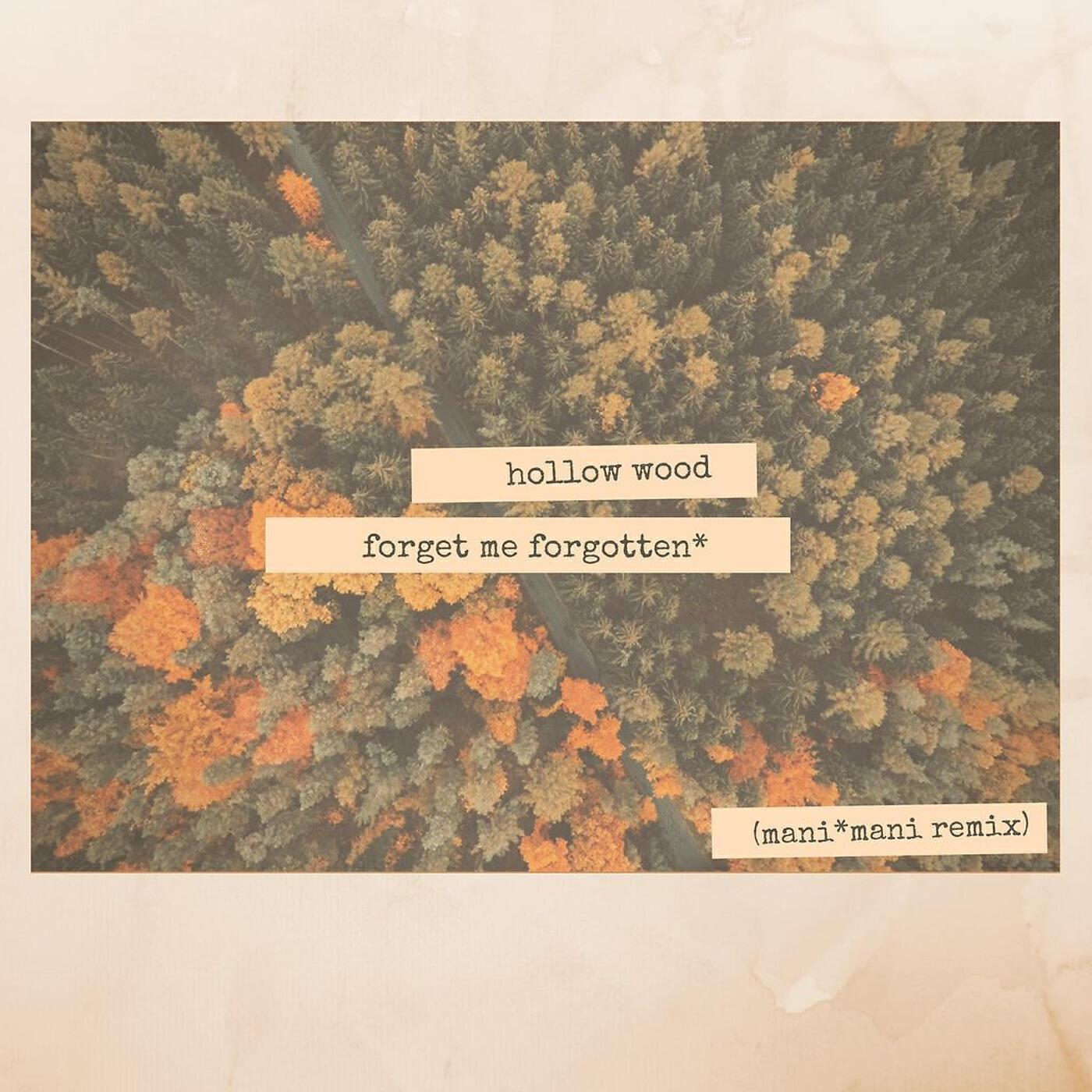 Релиз Forget Me Forgotten (Remix)