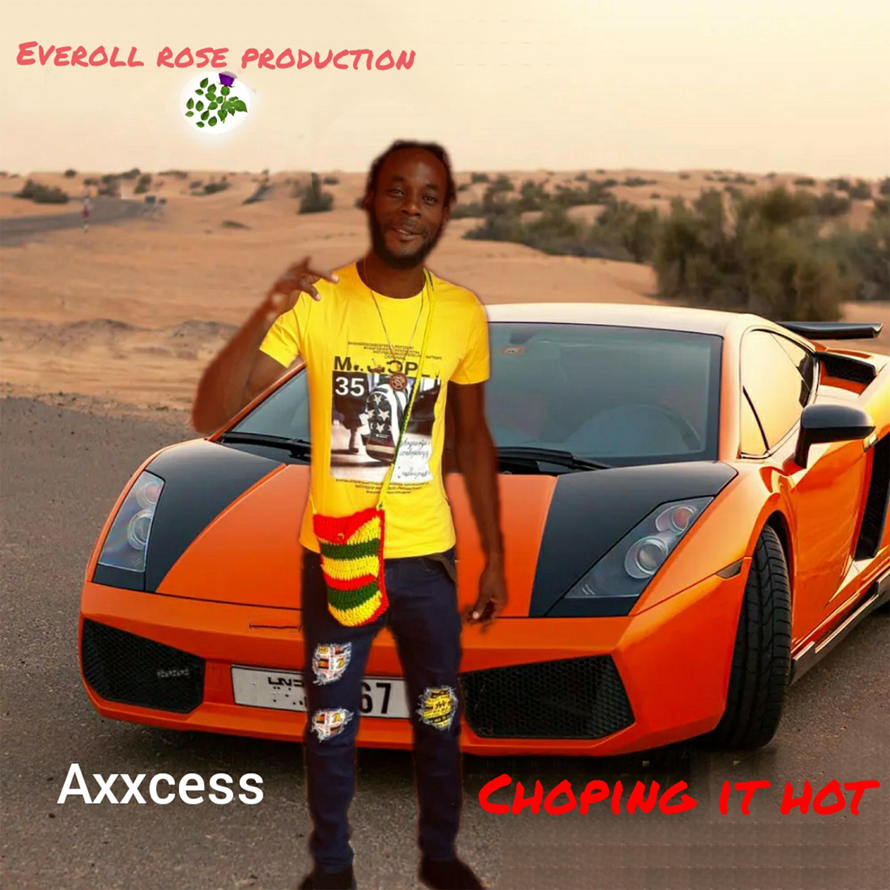 Релиз Choping It Hot