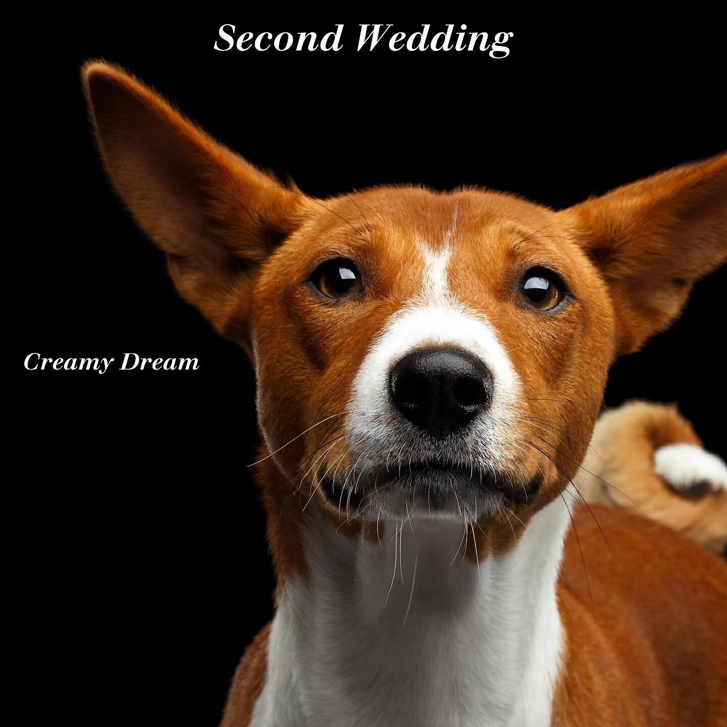 Creamy Dream