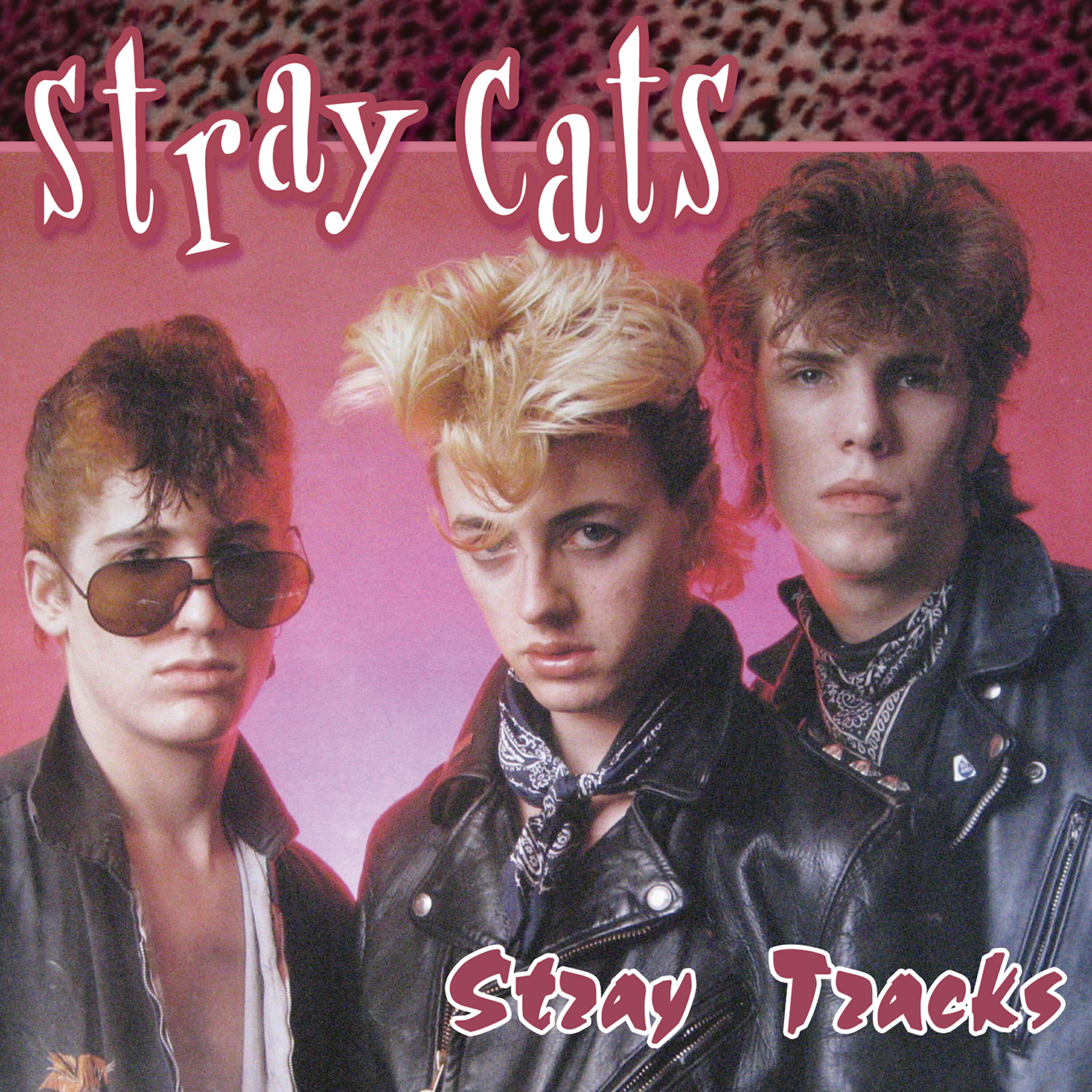 Постер альбома Stray Tracks
